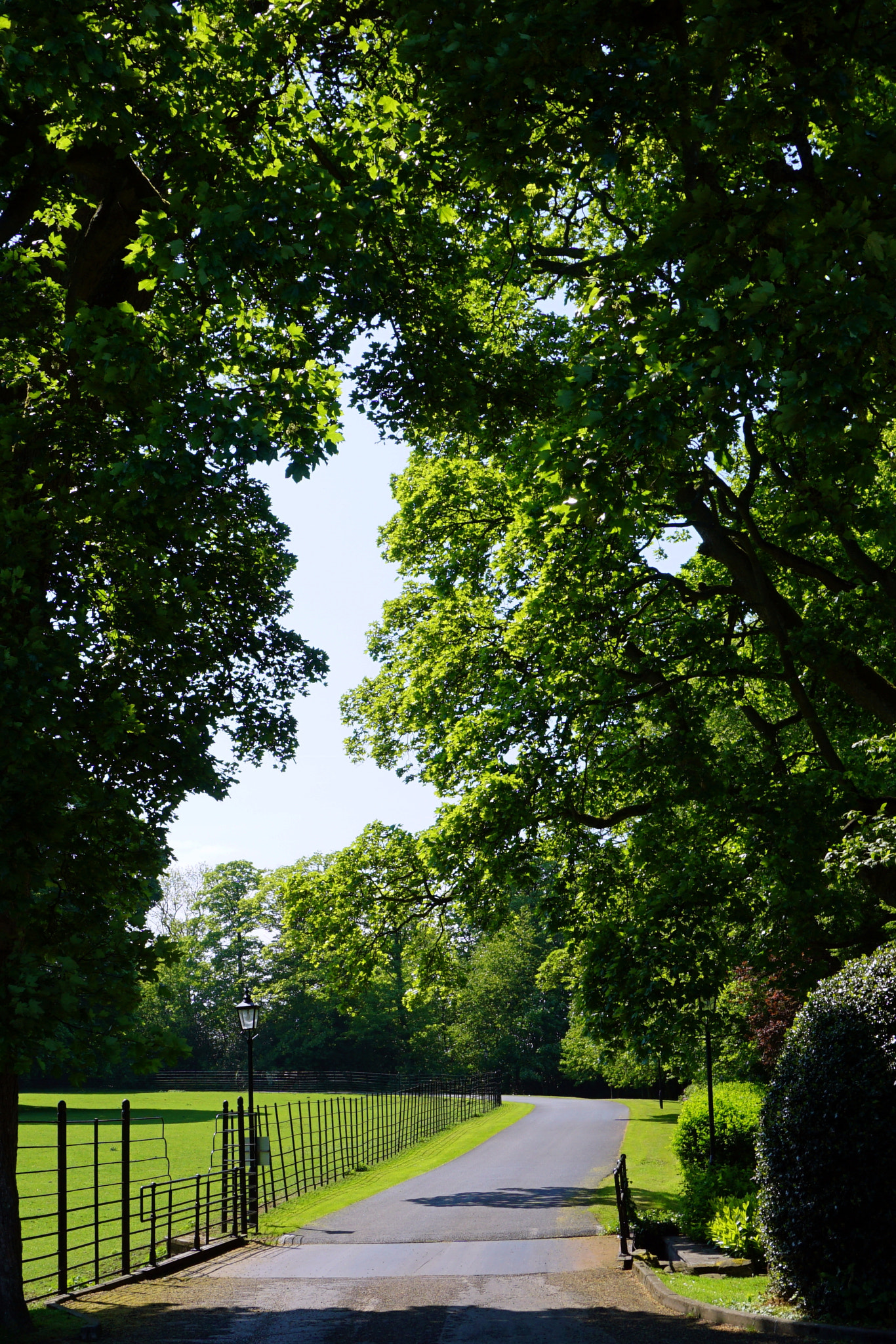 Sony a5100 sample photo. Road out photography