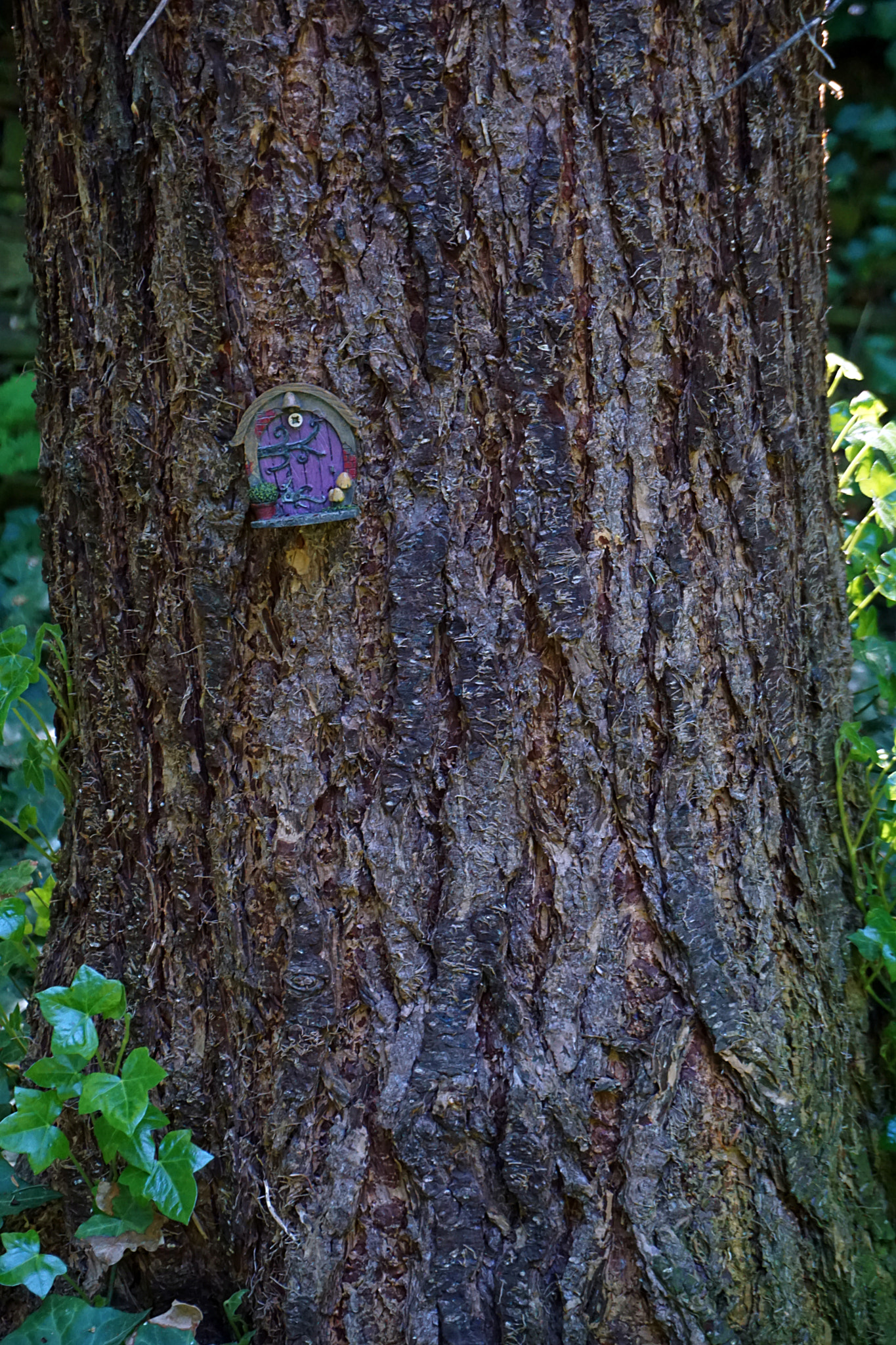 Sony a5100 sample photo. Tree house photography