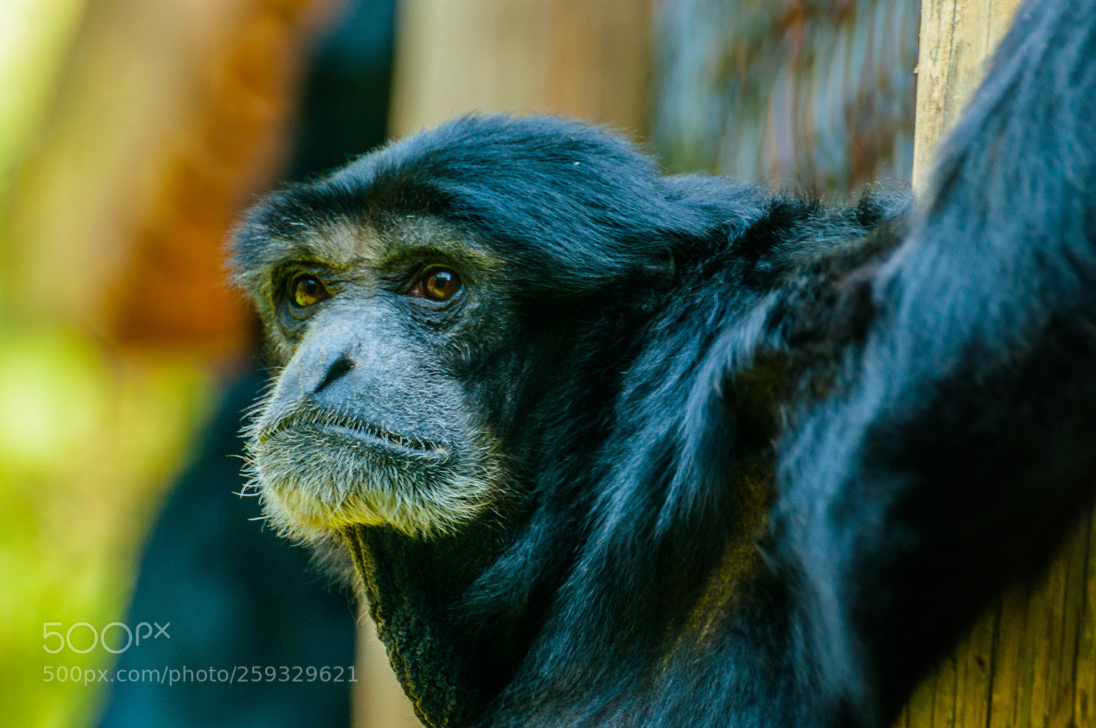 Nikon D90 sample photo. He's thinking photography