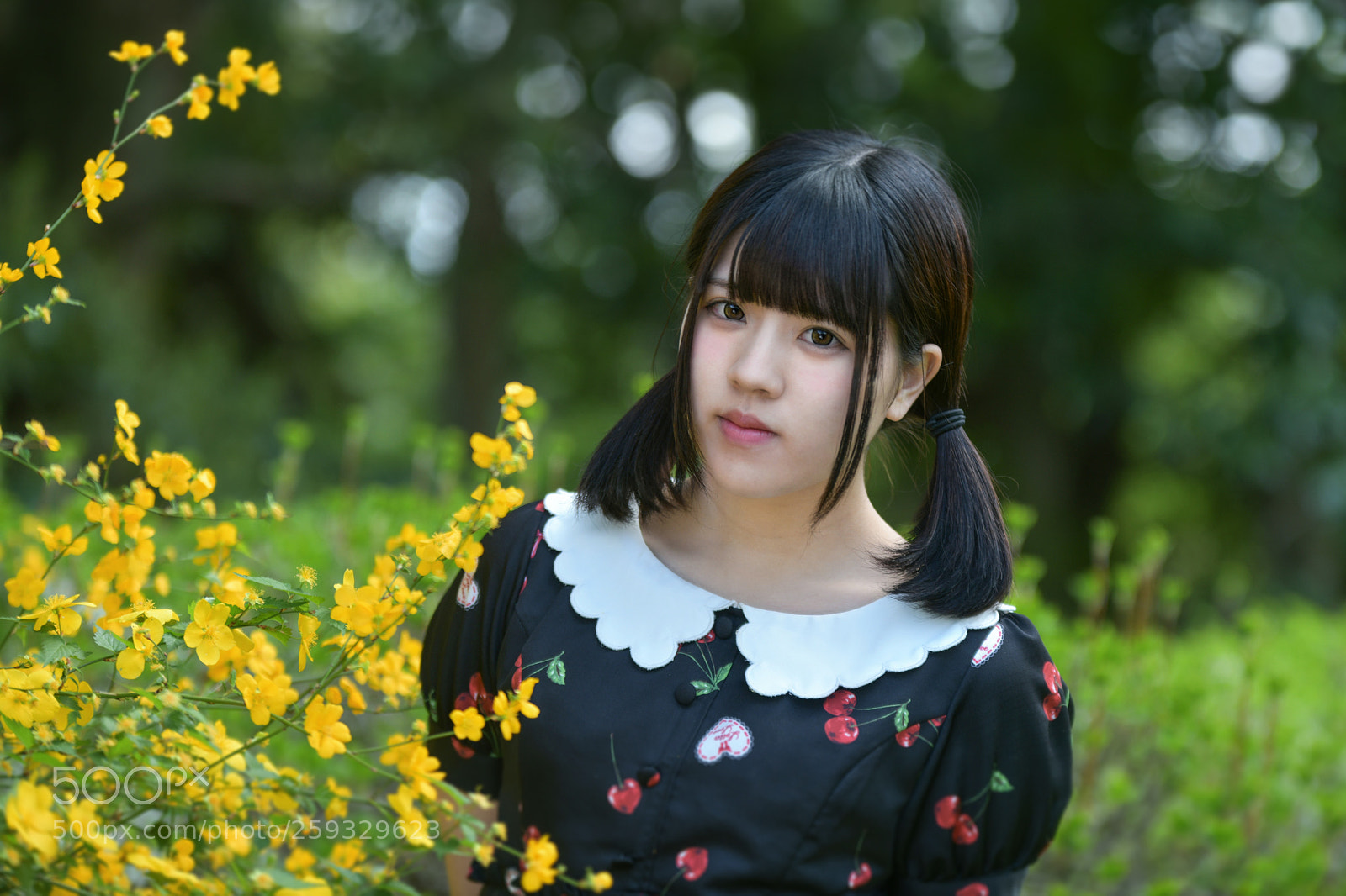 Nikon D850 sample photo. Mimi 2 photography
