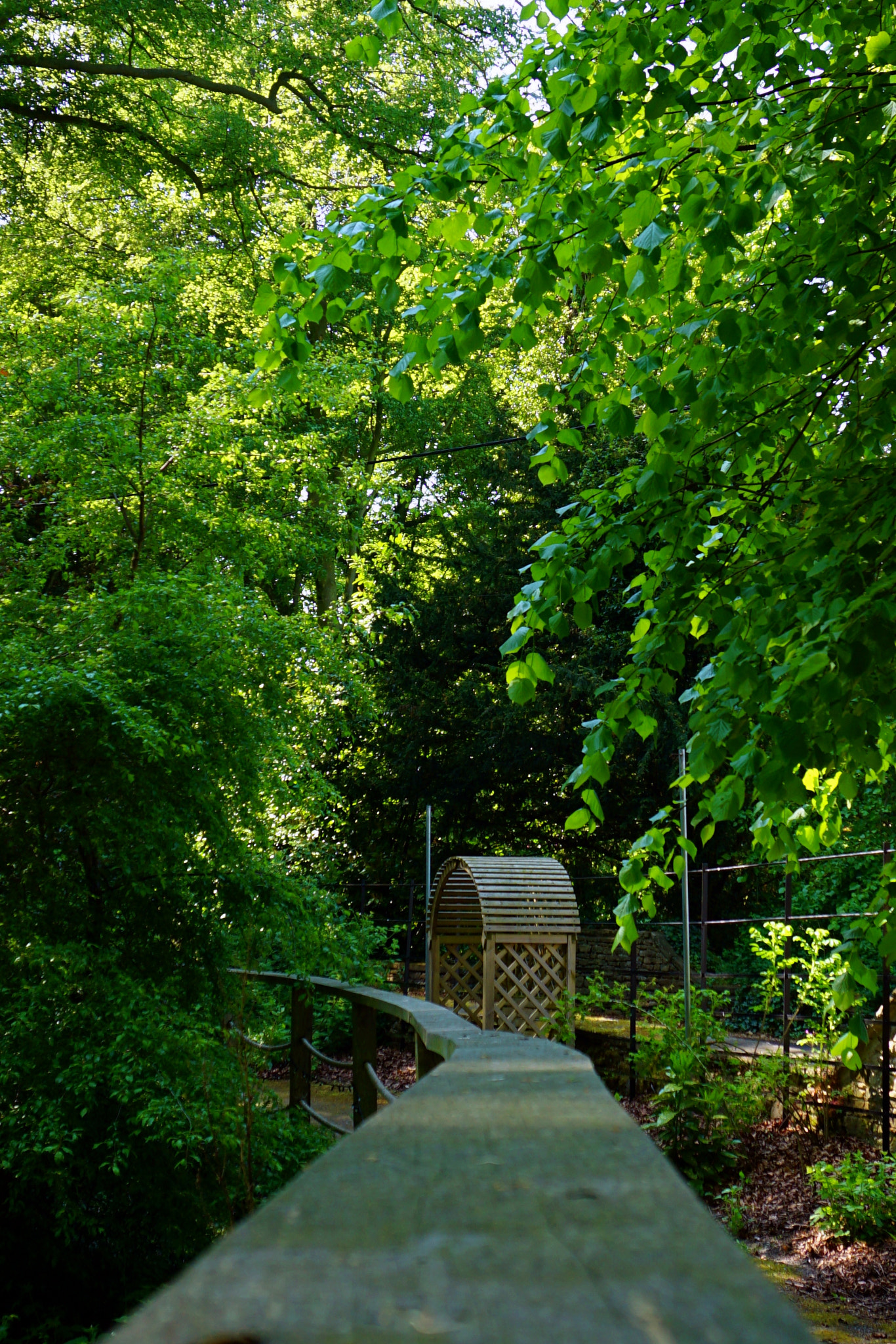 Sony a5100 sample photo. Secret garden photography