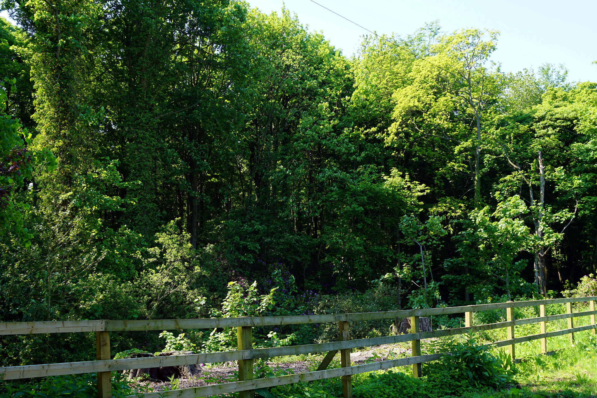 Sony a5100 sample photo. Landscape photography