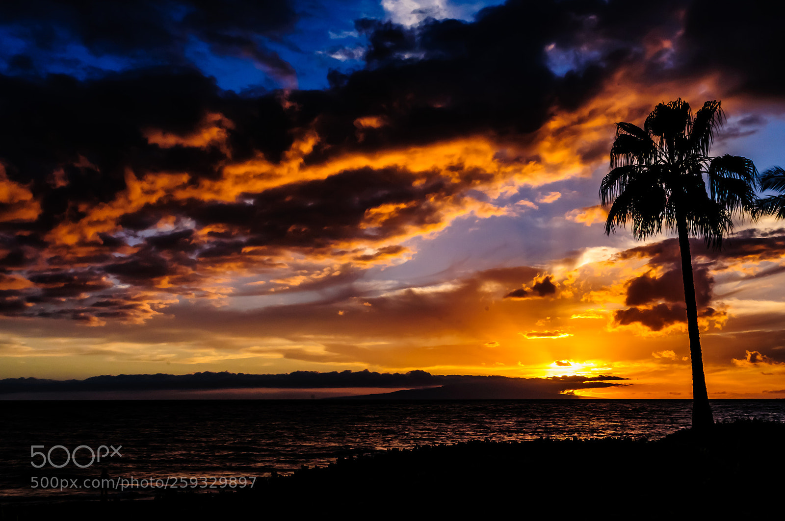 Nikon D300S sample photo. Just another maui sunset photography
