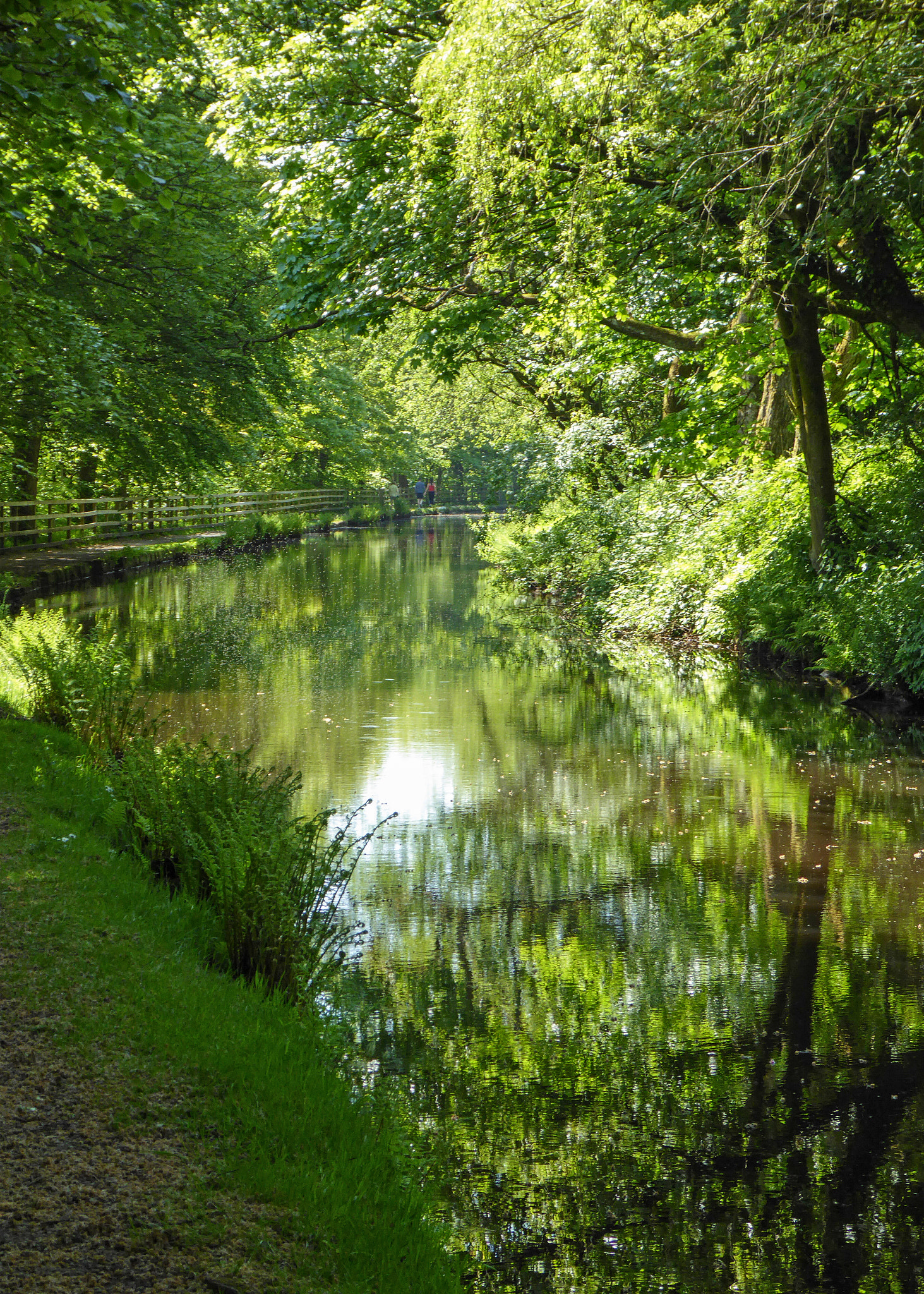 Panasonic Lumix DMC-ZS40 (Lumix DMC-TZ60) sample photo. Huddersfield narrow canal photography