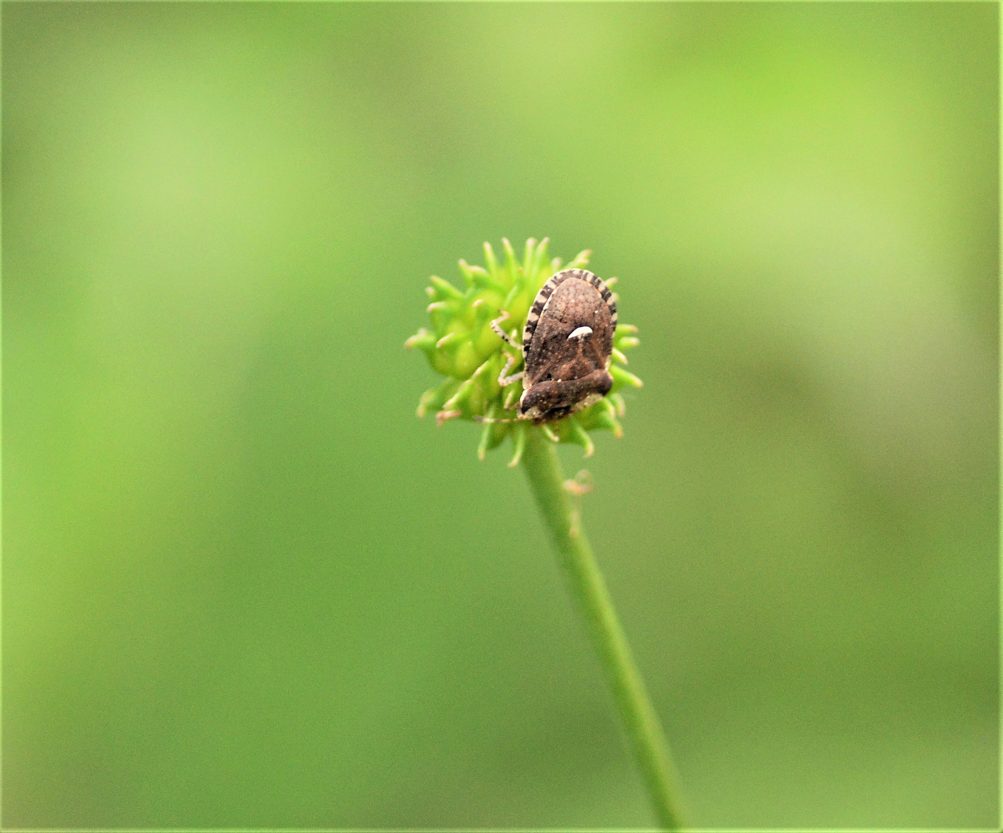 Nikon D3200 sample photo