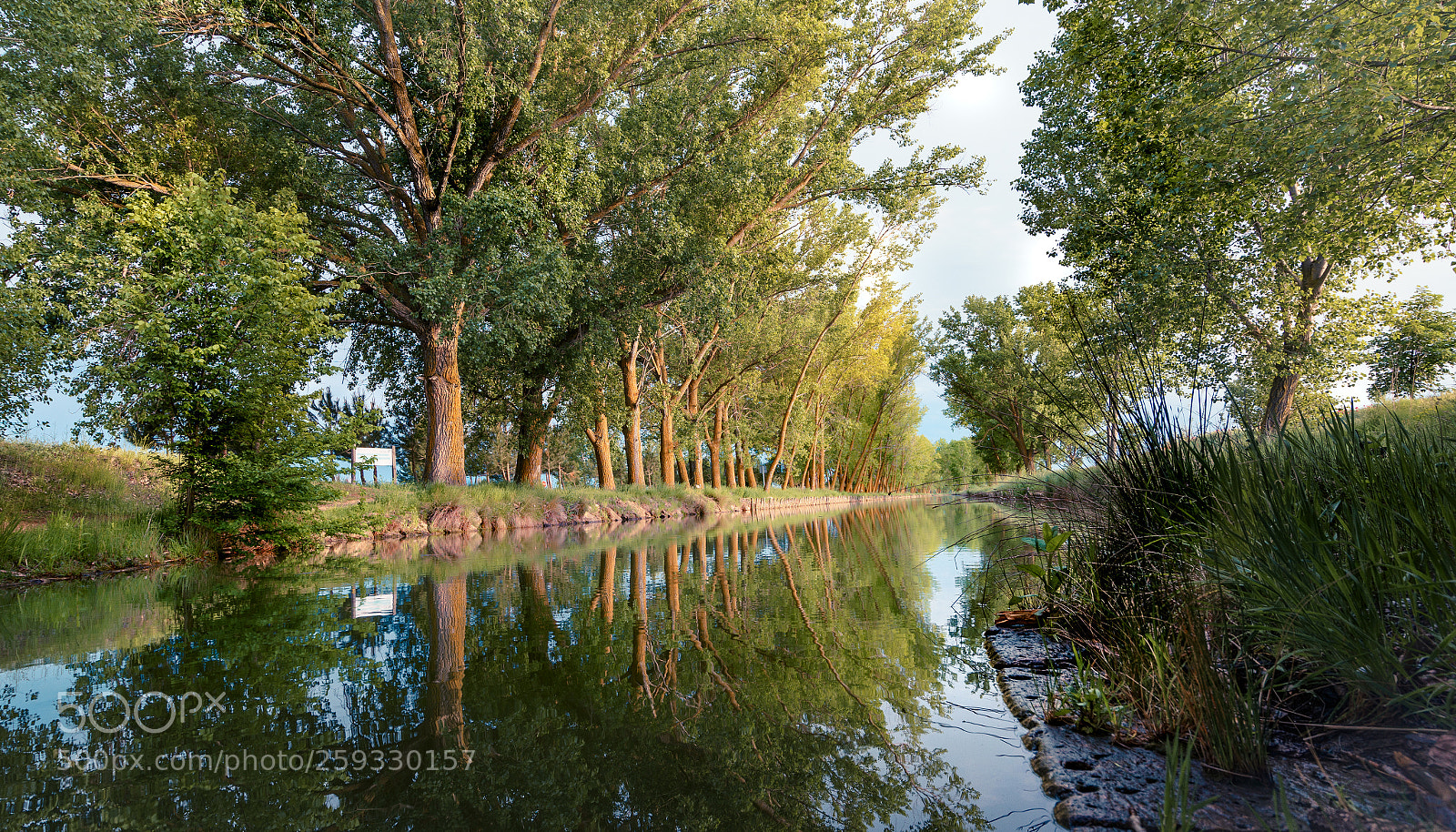 Sony a7 II sample photo. Medina del rioseco photography