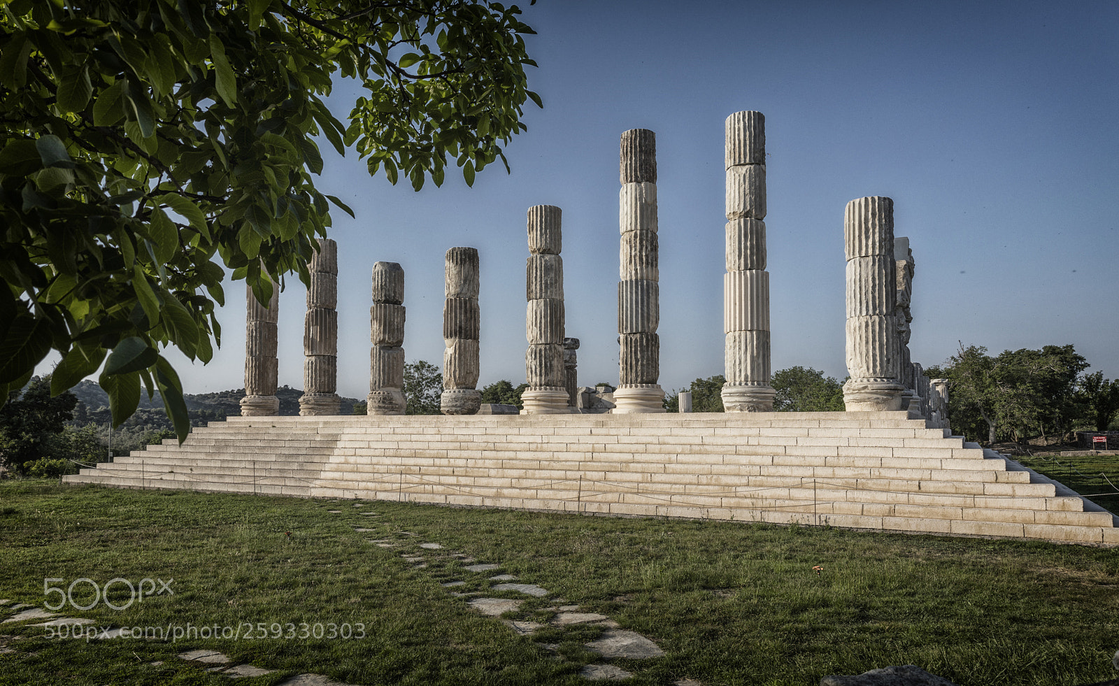 Canon EOS 5D Mark IV sample photo. Apollon smintheus photography