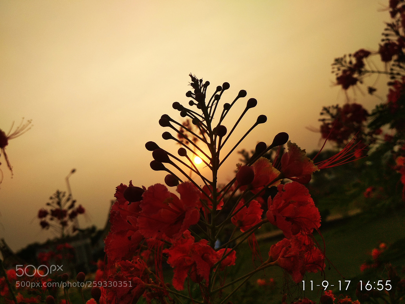 Xiaomi Redmi 4 Pro sample photo. Untitled photography