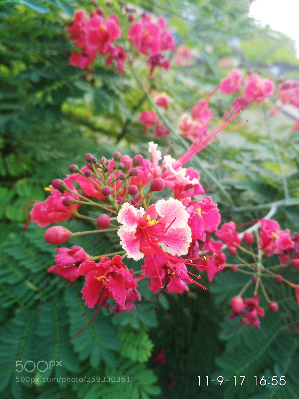 Xiaomi Redmi 4 Pro sample photo. Untitled photography