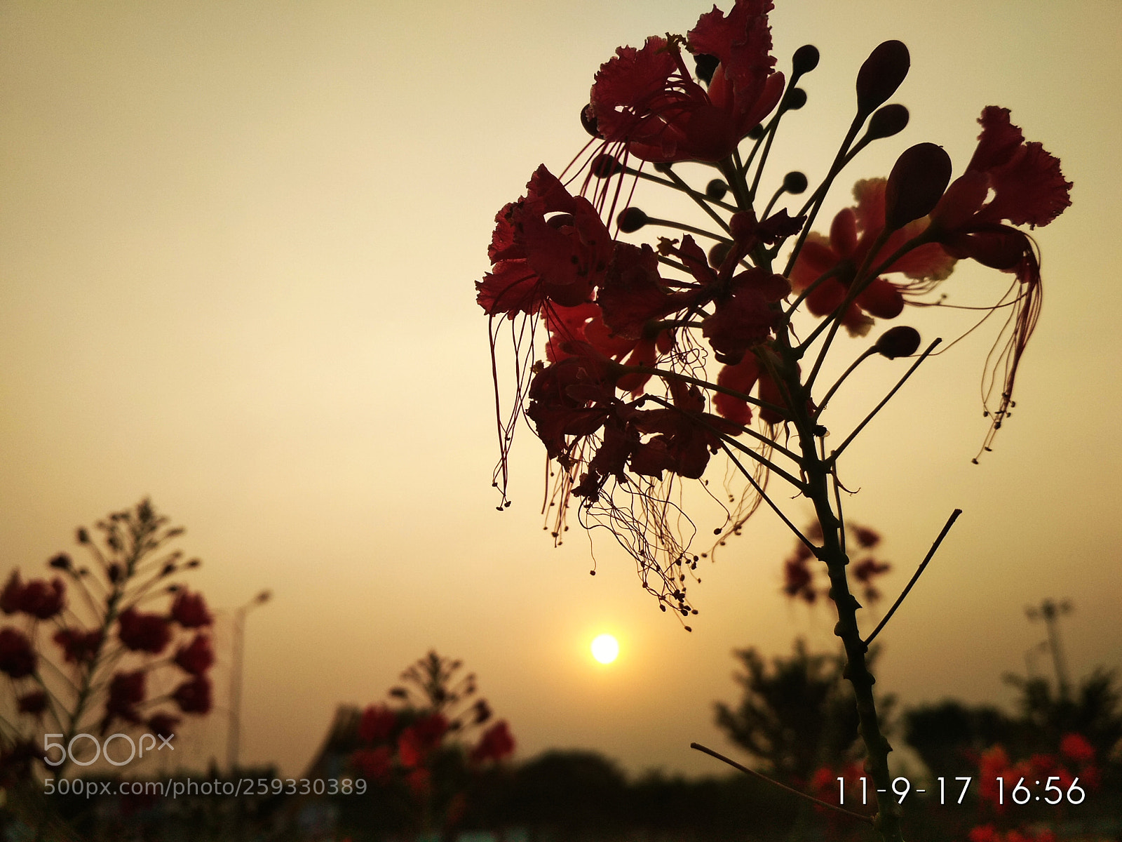Xiaomi Redmi 4 Pro sample photo. Untitled photography