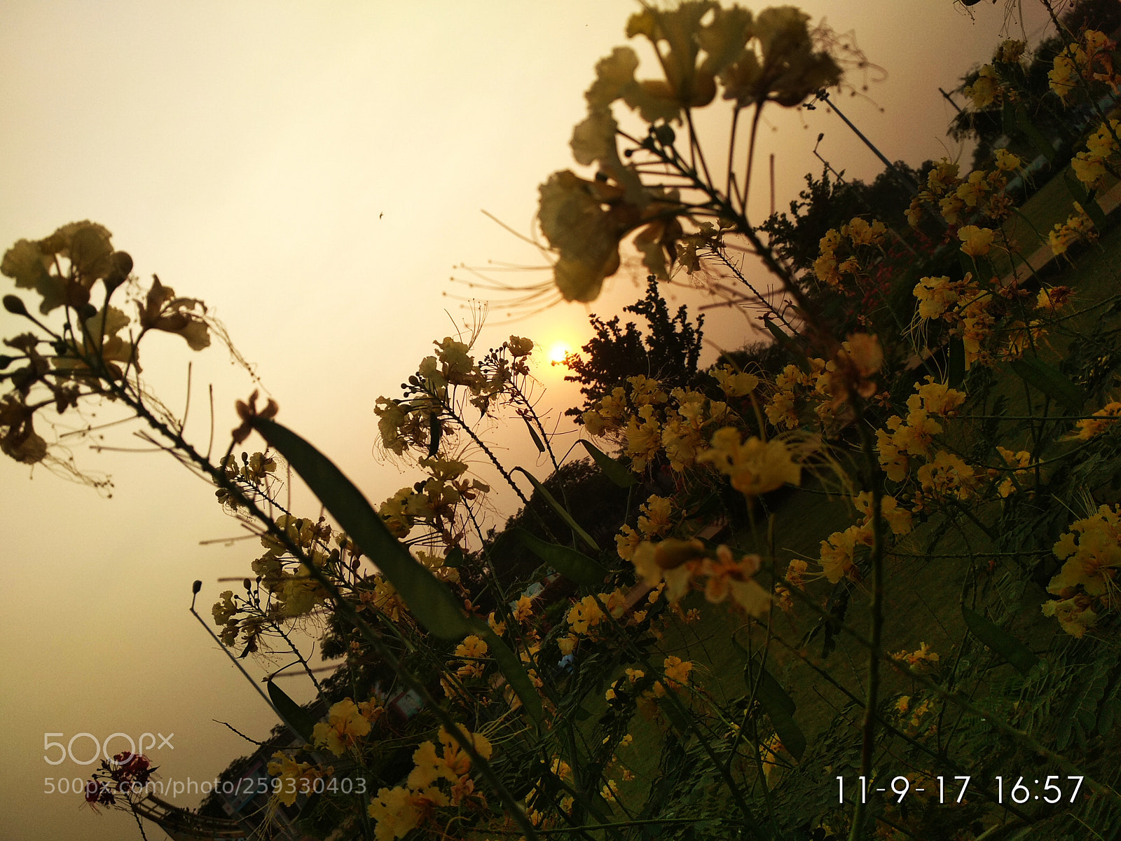 Xiaomi Redmi 4 Pro sample photo. Untitled photography