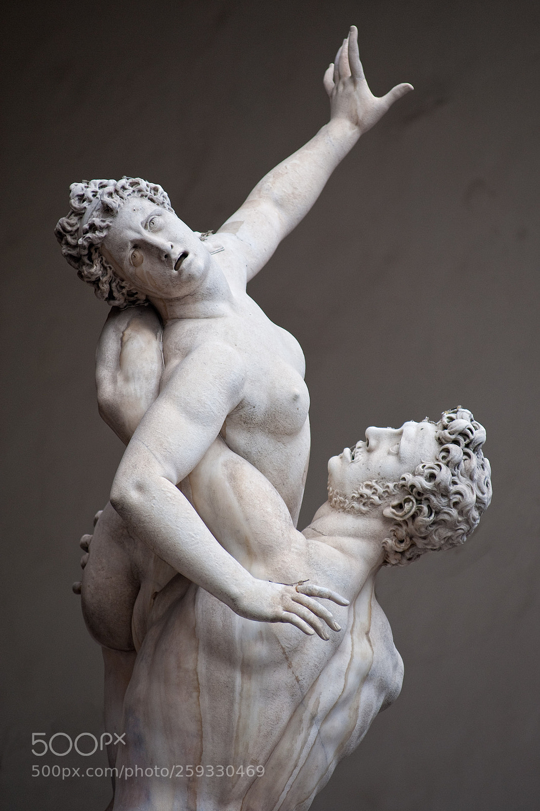 Nikon D700 sample photo. Firenze - ratto delle photography