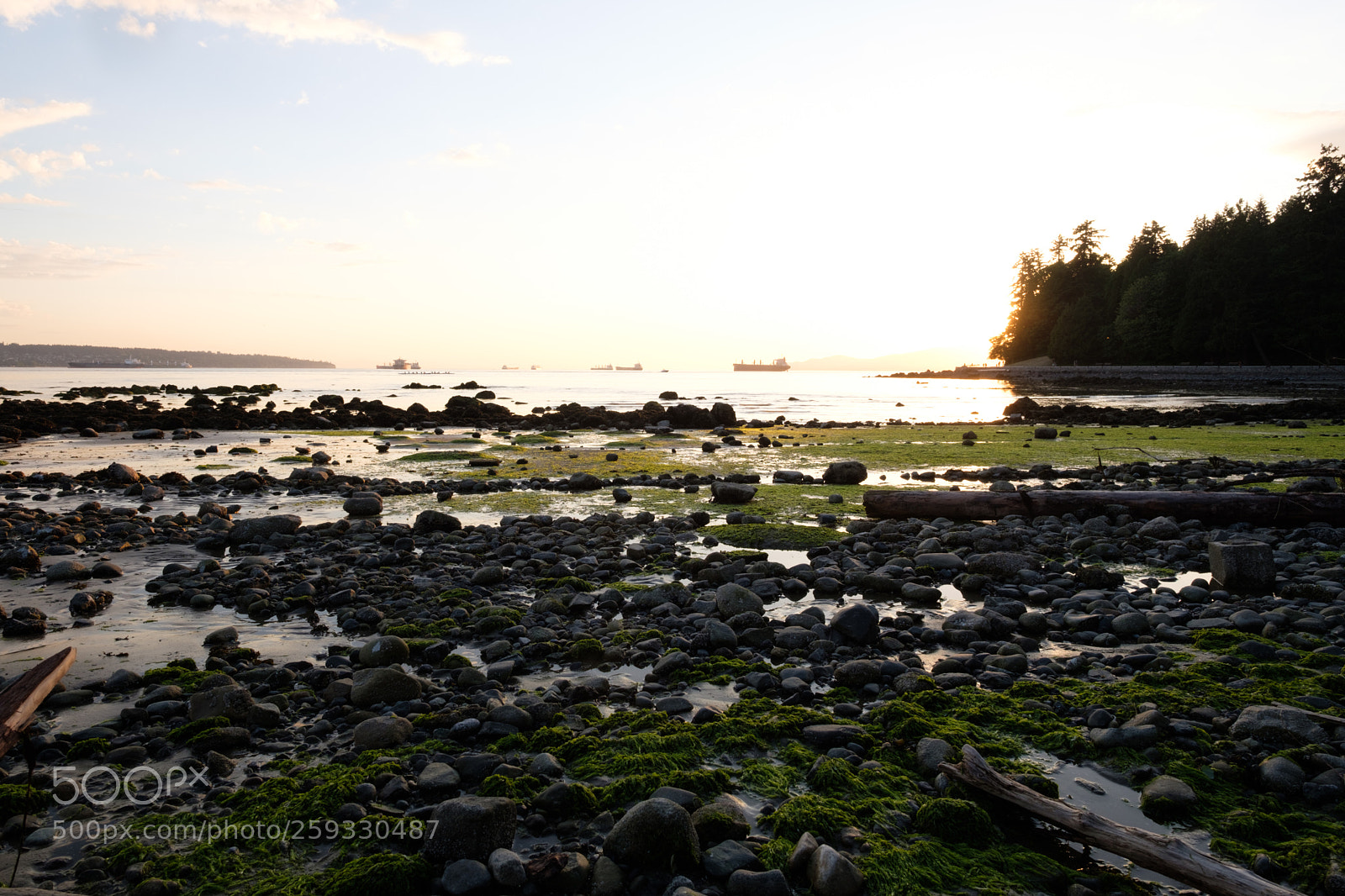 Fujifilm X-H1 sample photo. Second beach, vancouver photography