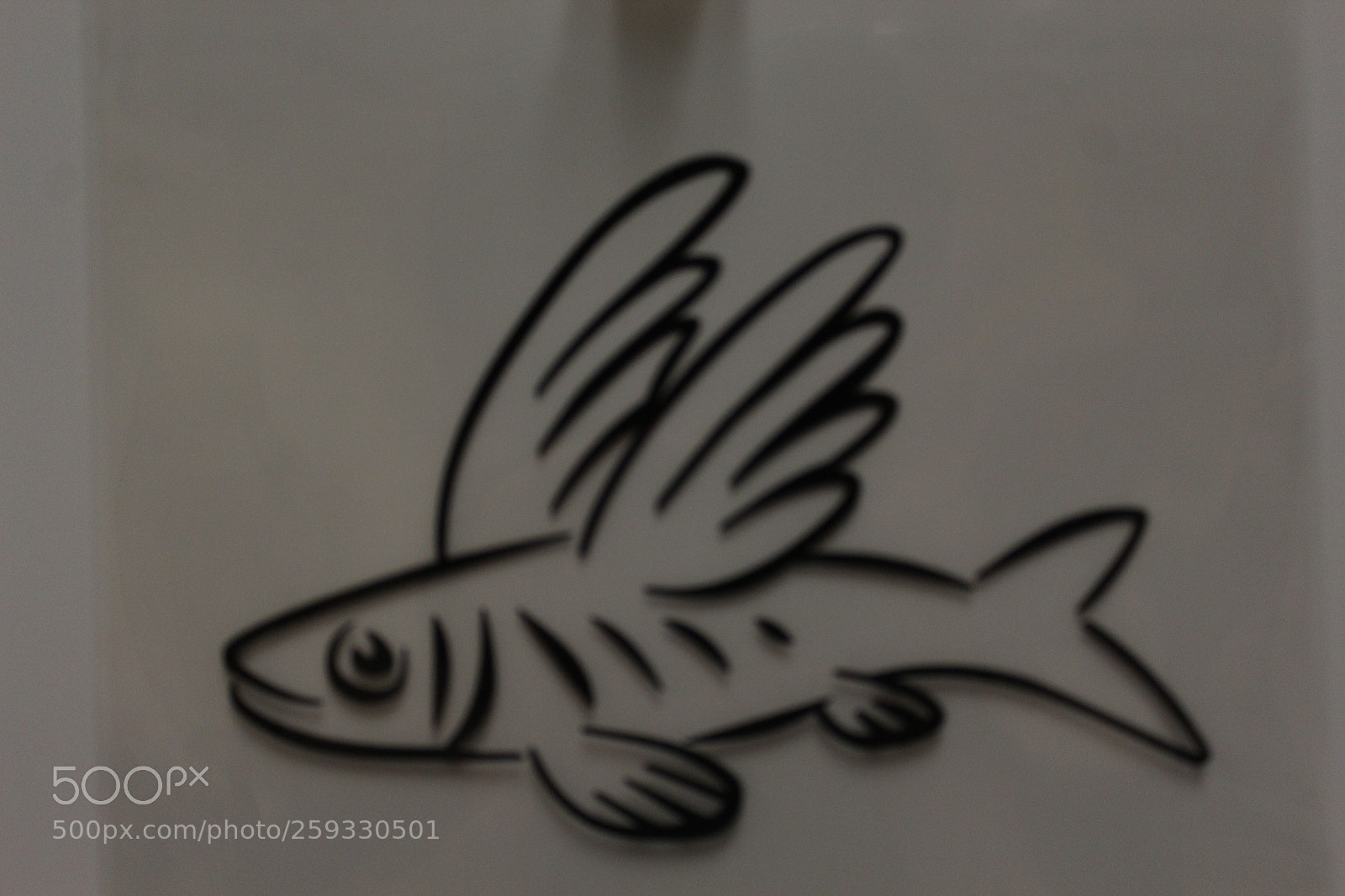 Canon EOS 1200D (EOS Rebel T5 / EOS Kiss X70 / EOS Hi) sample photo. Img photography