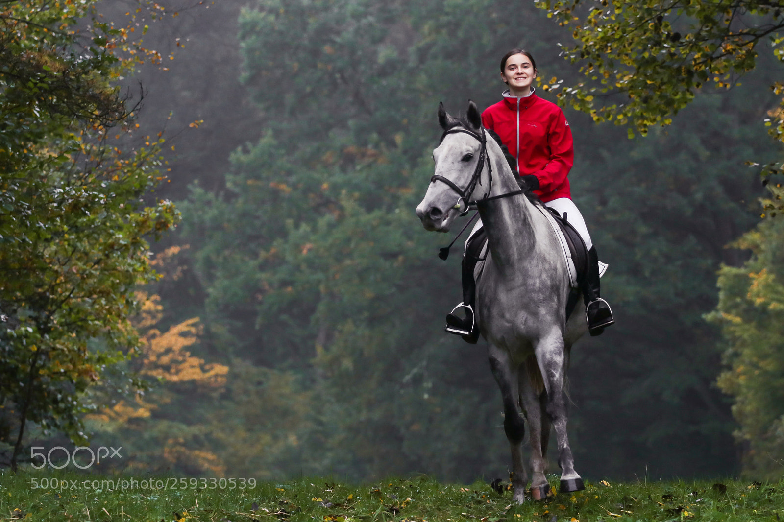 Canon EOS 80D sample photo. Rider on the hill photography