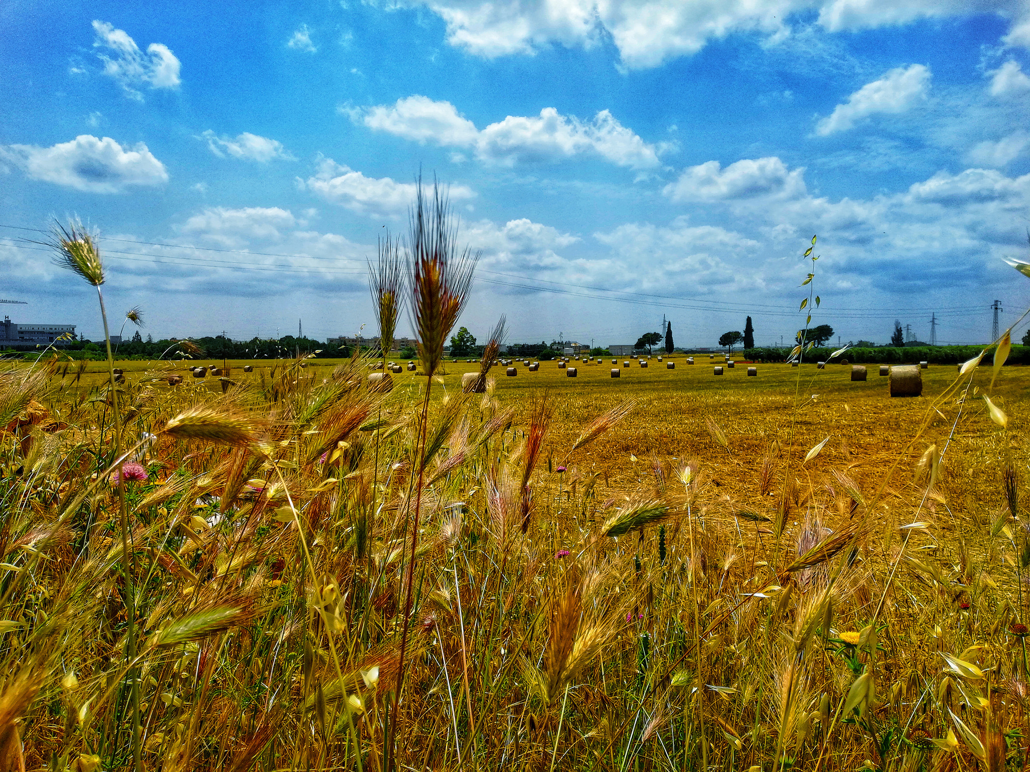 HUAWEI Mate 10 Lite sample photo. Pensieri e parole photography