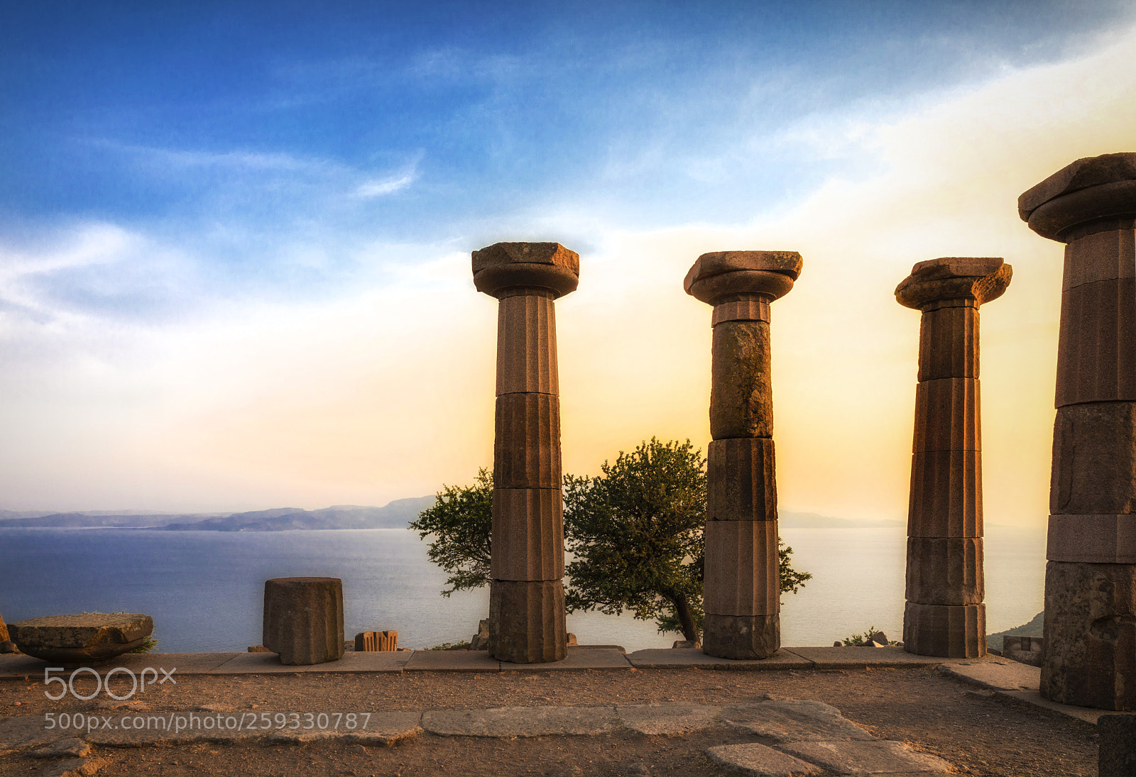 Canon EOS 5D Mark IV sample photo. Assos photography