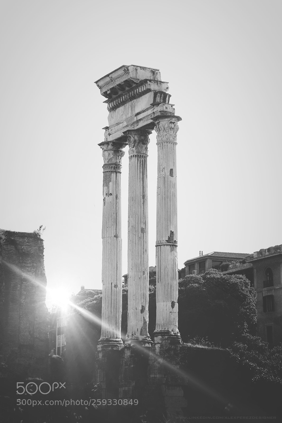 Sony a7 sample photo. Templum castoris photography