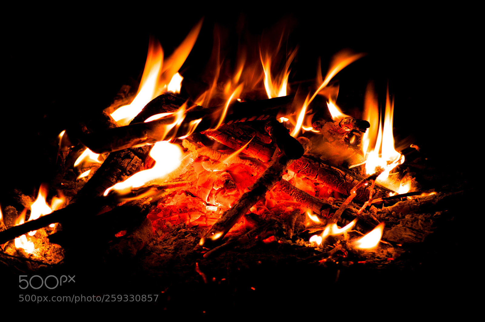 Nikon D90 sample photo. Fire photography