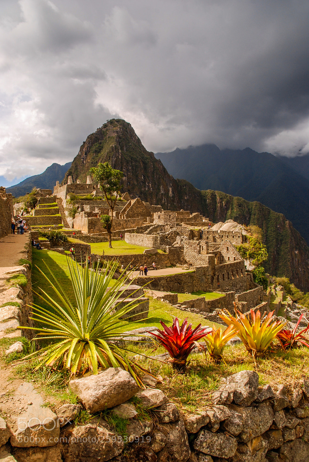 Nikon D80 sample photo. Summer at machu picchu photography