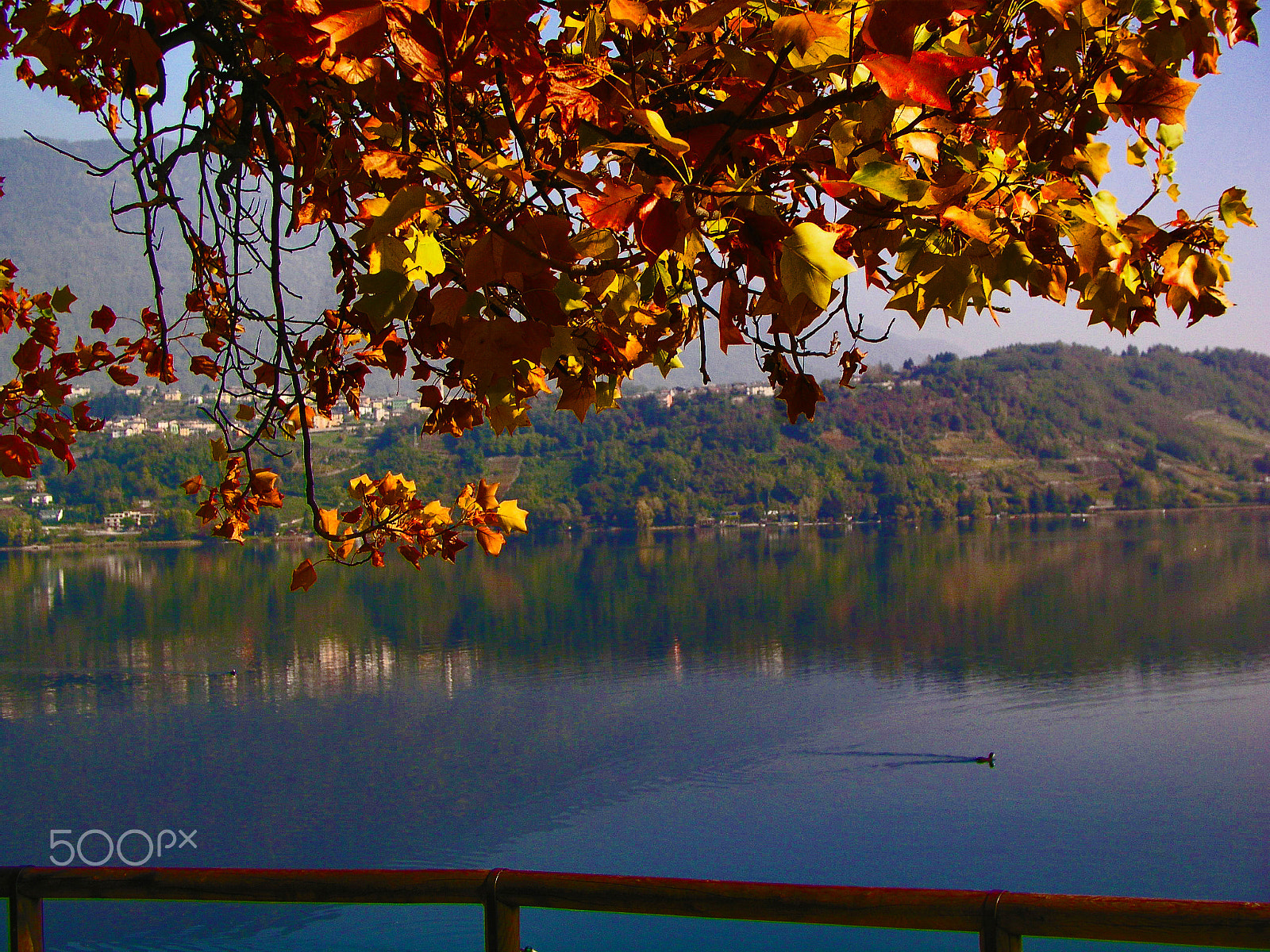 Olympus C5050Z sample photo. Italia.levico terme photography