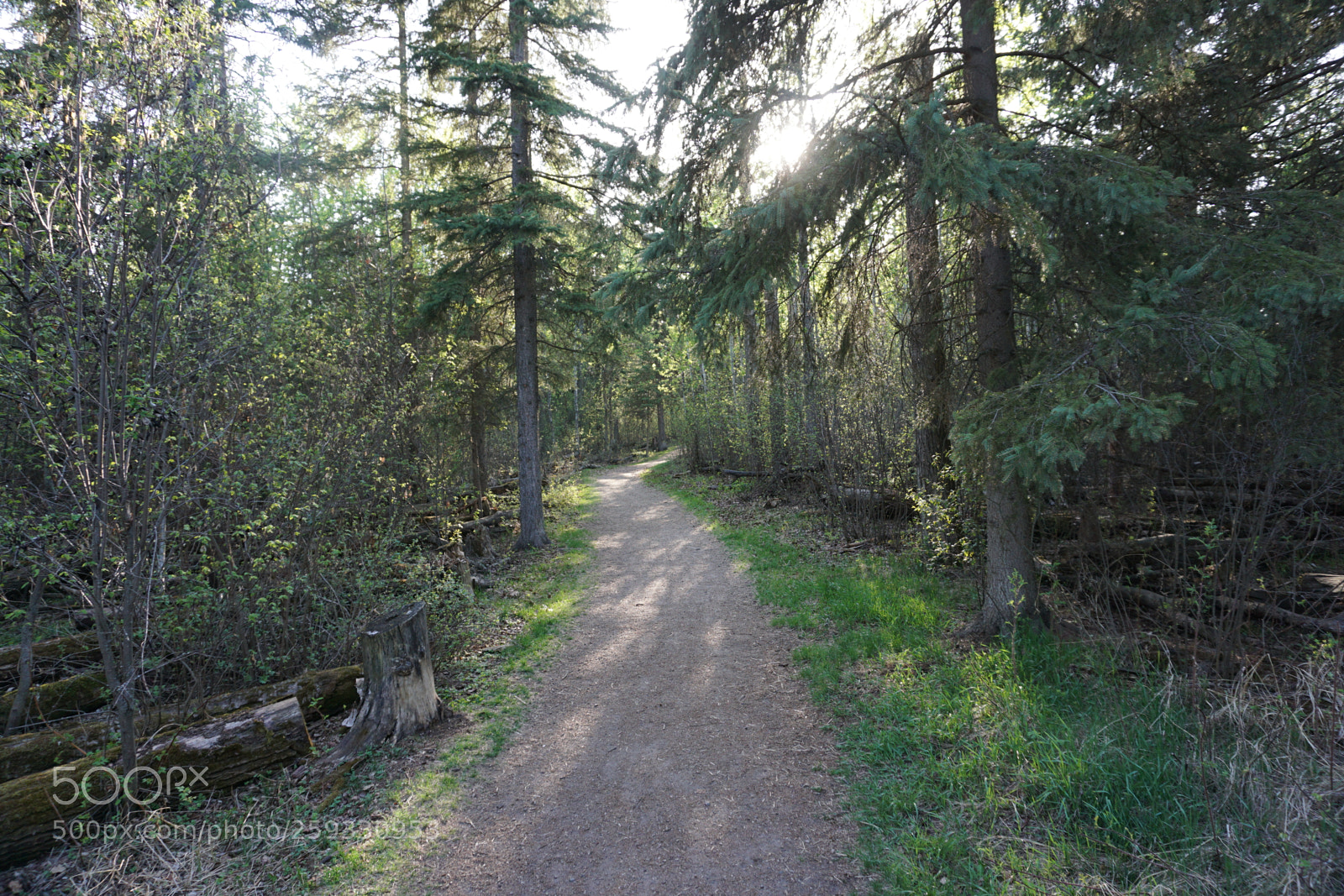 Sony a6000 sample photo. Dsc photography
