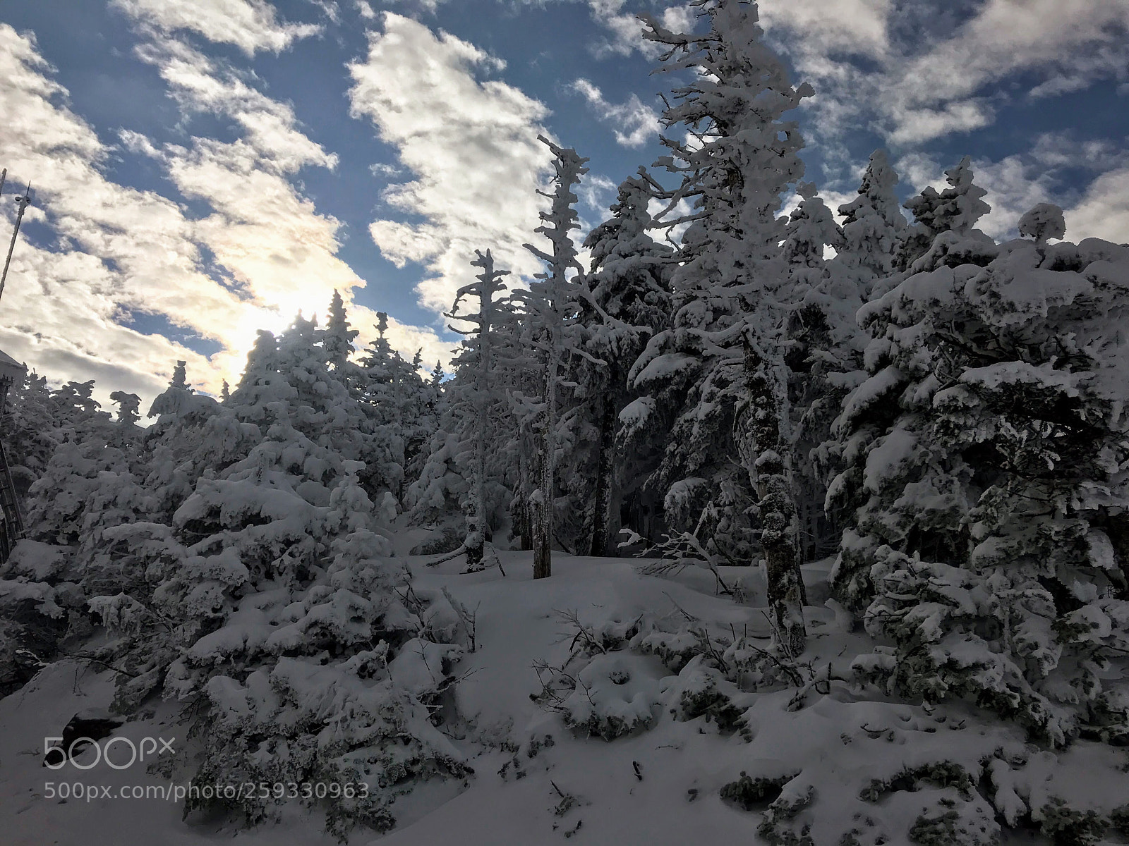 Apple iPhone 7 Plus sample photo. Snowcapped photography