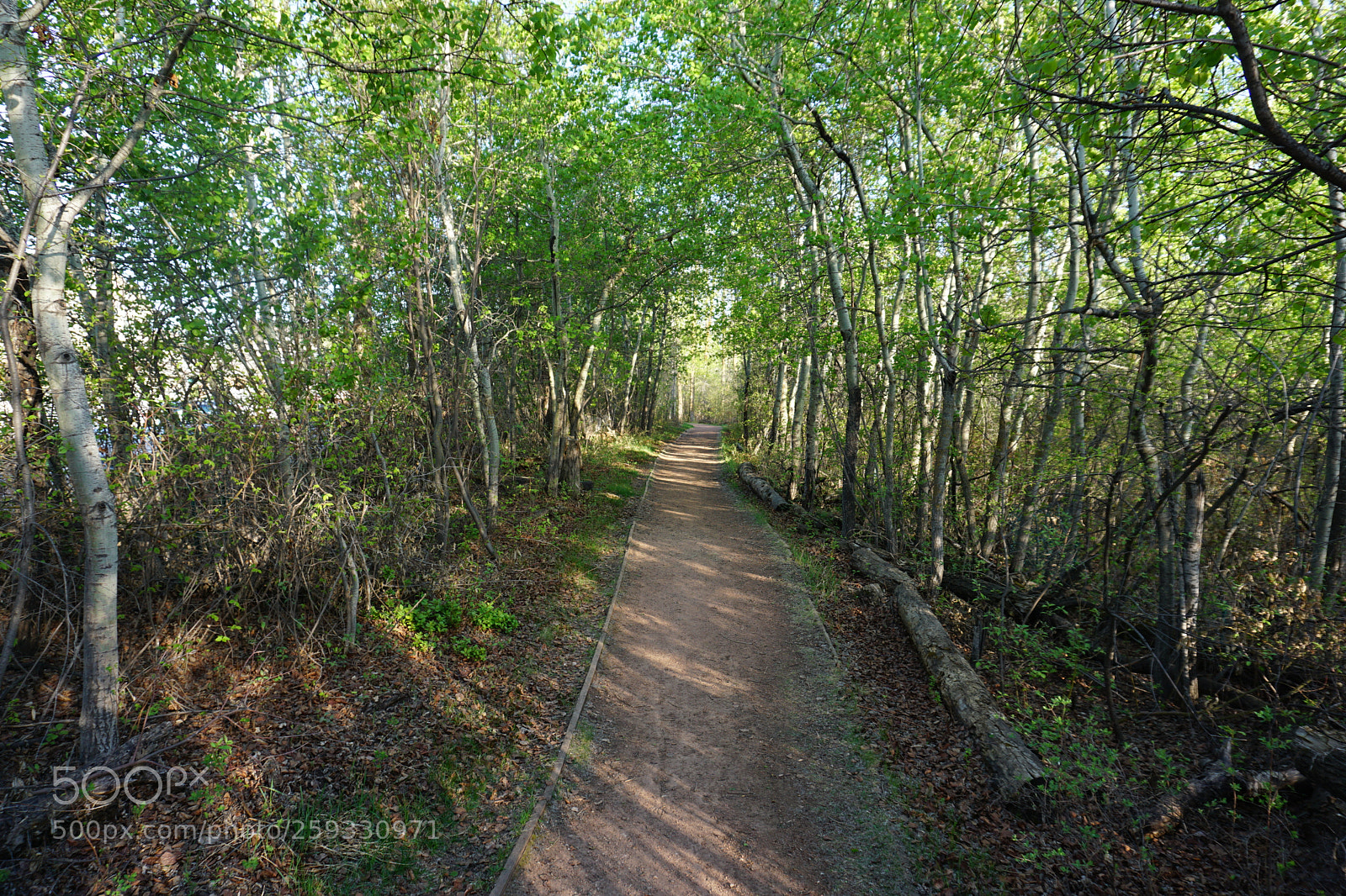 Sony a6000 sample photo. Dsc photography