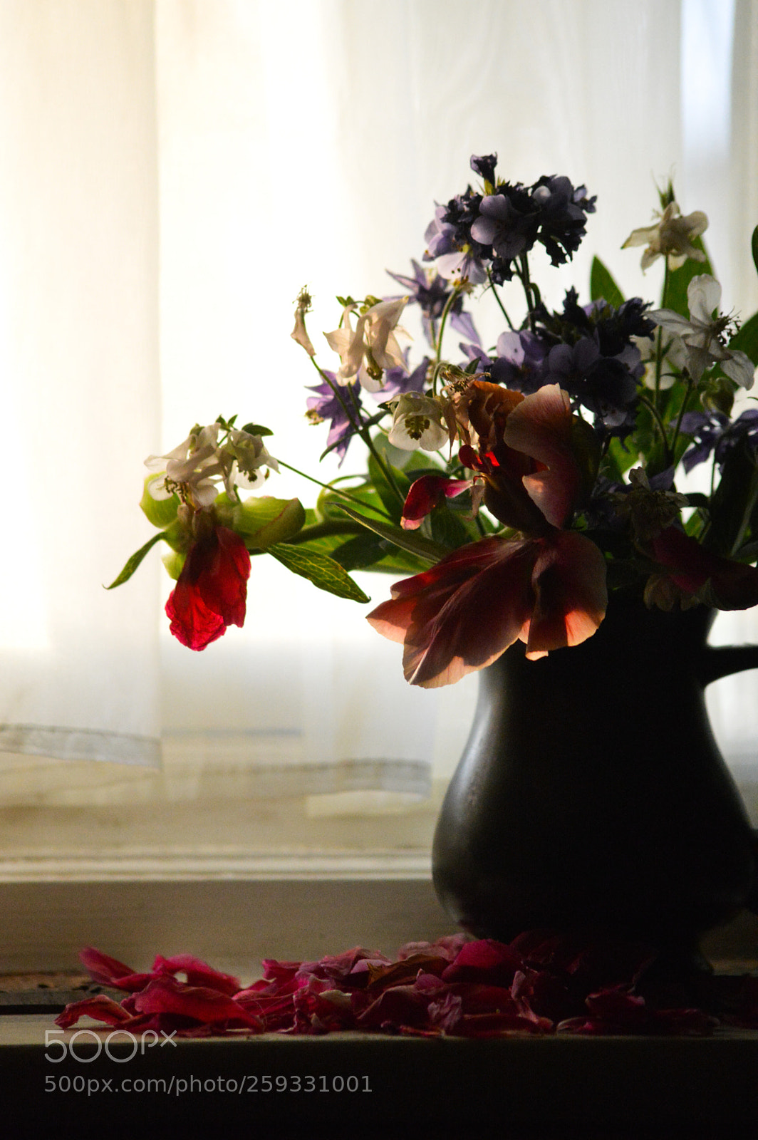 Nikon D3200 sample photo. Old peonies photography