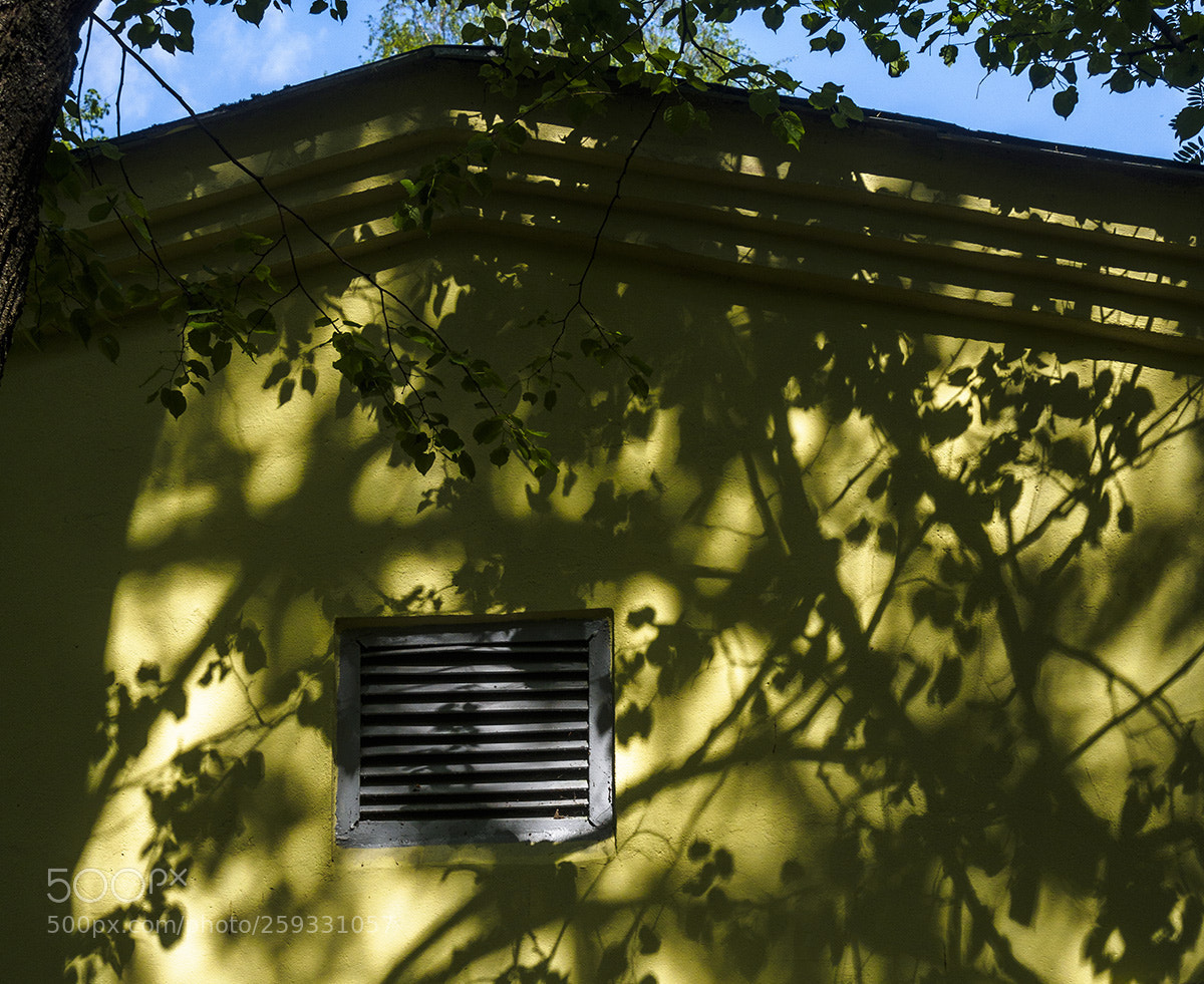 Olympus OM-D E-M10 sample photo. Shadows photography