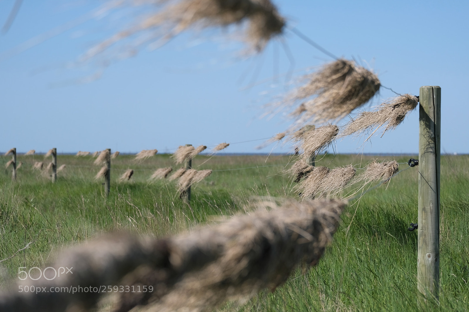 Fujifilm X-T20 sample photo. Nordsee-lametta photography