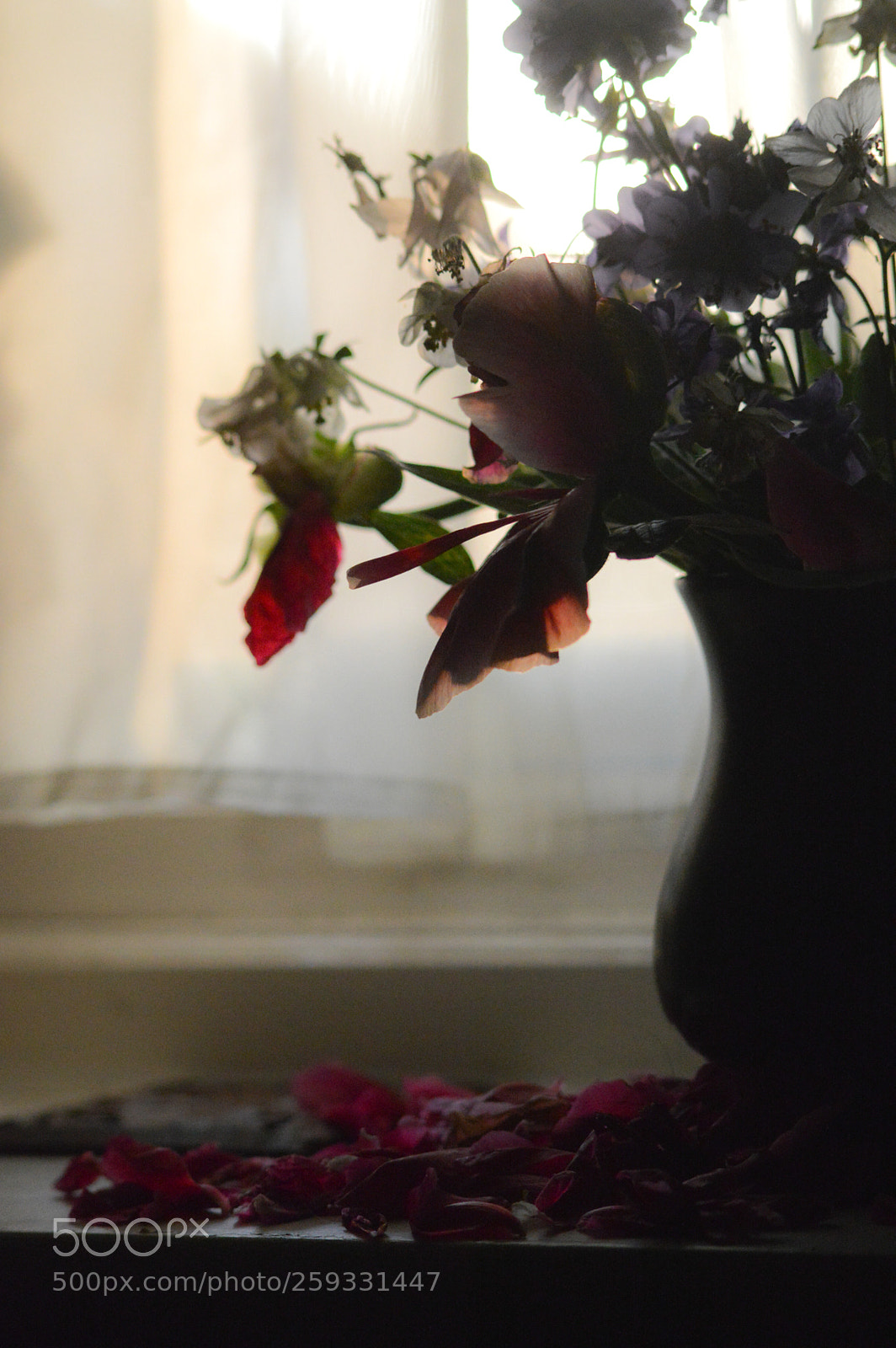 Nikon D3200 sample photo. Old peonies photography