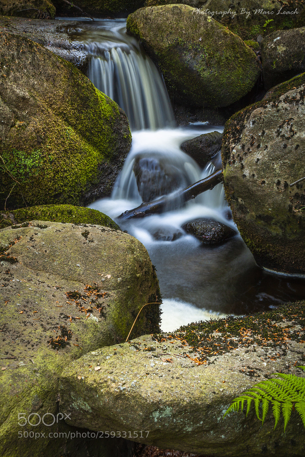 Canon EOS 50D sample photo. Padley gorge photography