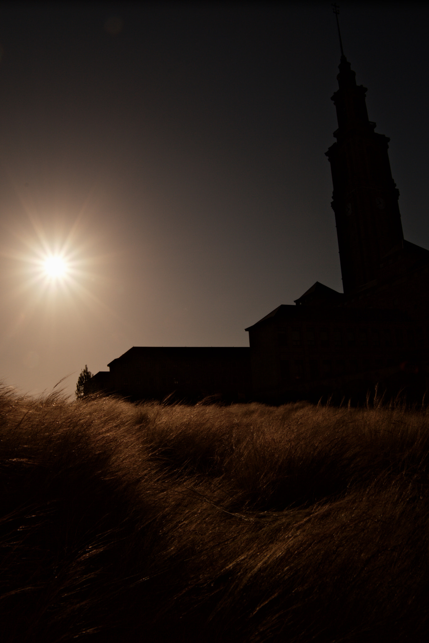Nikon D3200 sample photo. Uni a contraluz photography
