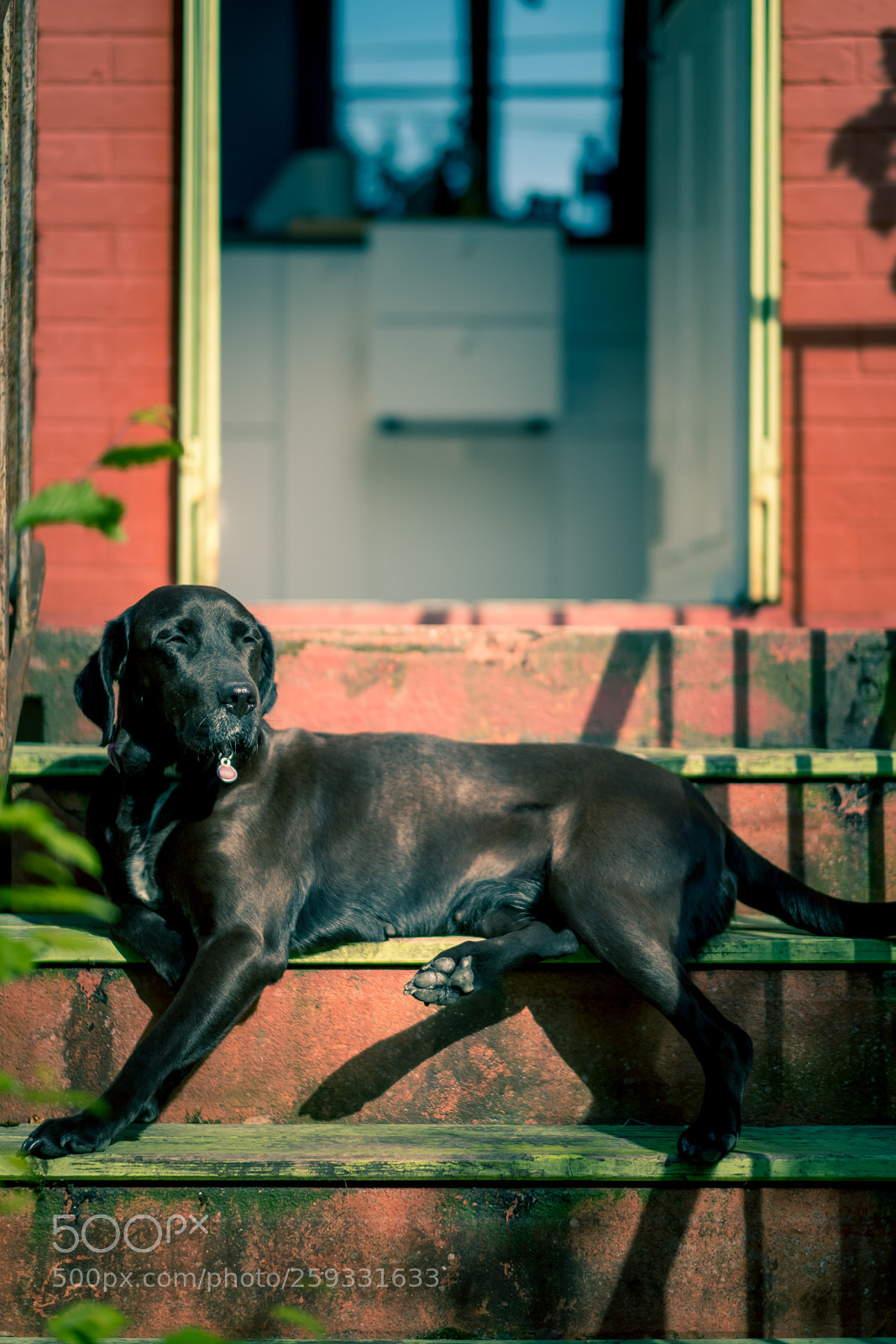 Fujifilm X-T2 sample photo. Clan nath photography