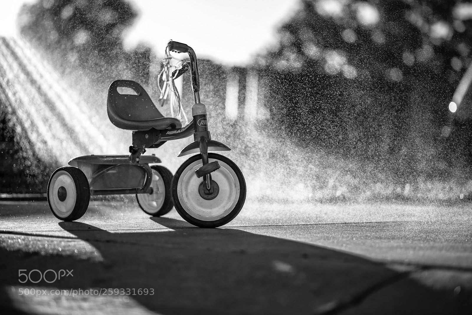 Nikon D750 sample photo. Radio flyer 2018 photography