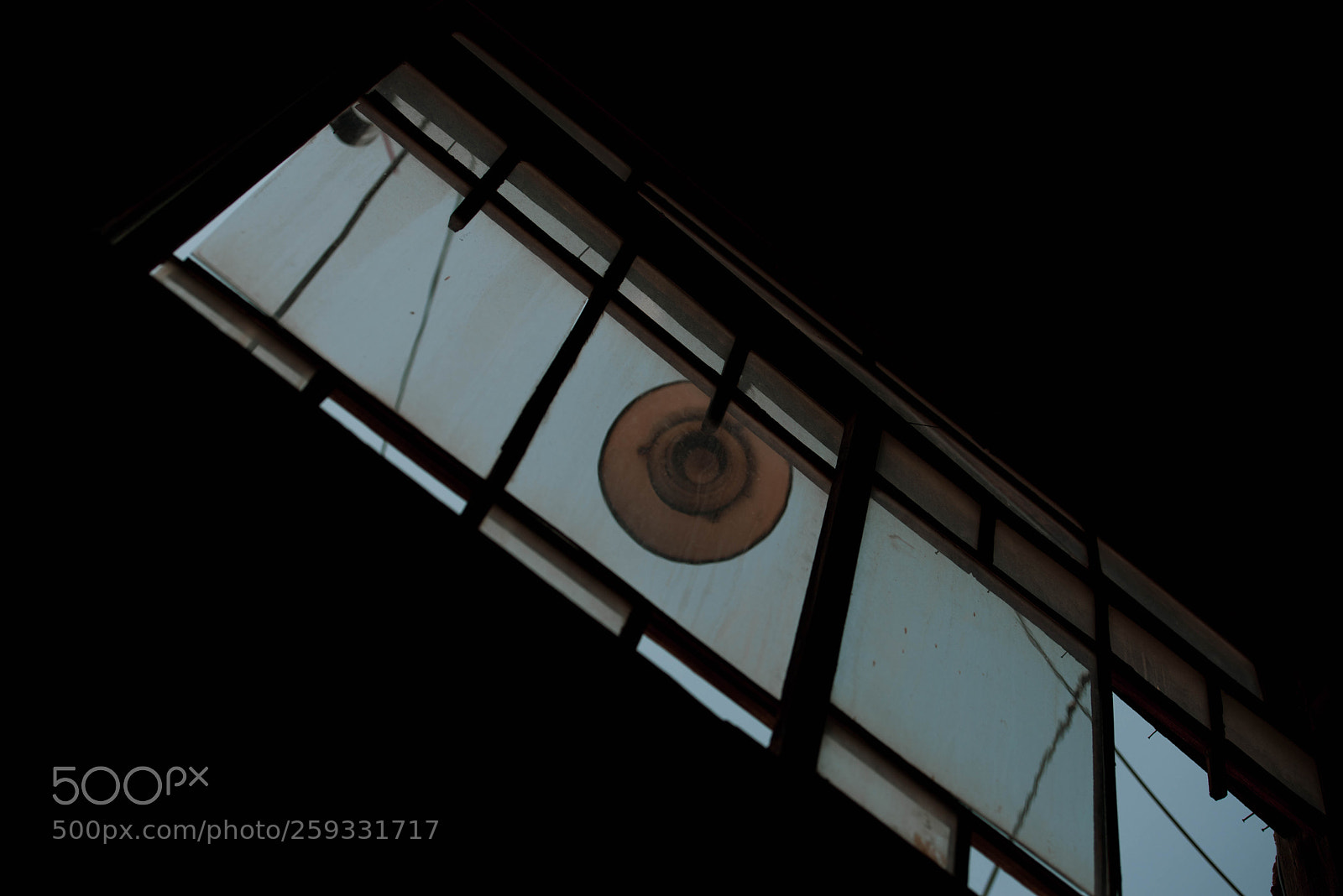 Nikon D810 sample photo. Outside light photography
