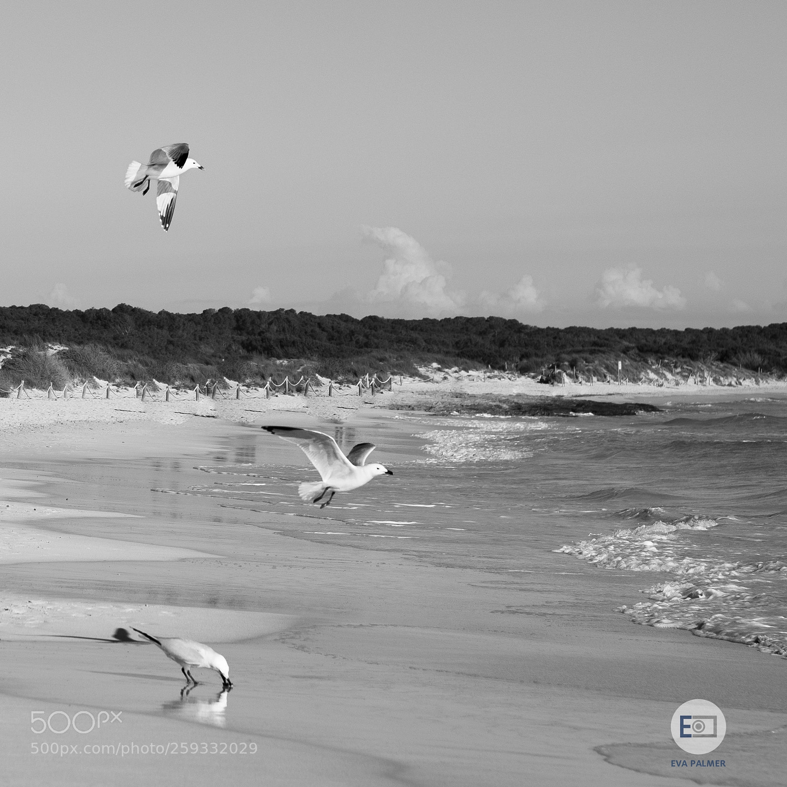 Fujifilm X-T2 sample photo. Sa ràpita photography