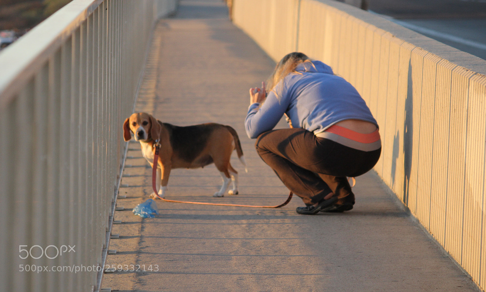 Canon EOS 60D sample photo. Smile puppy dog photography