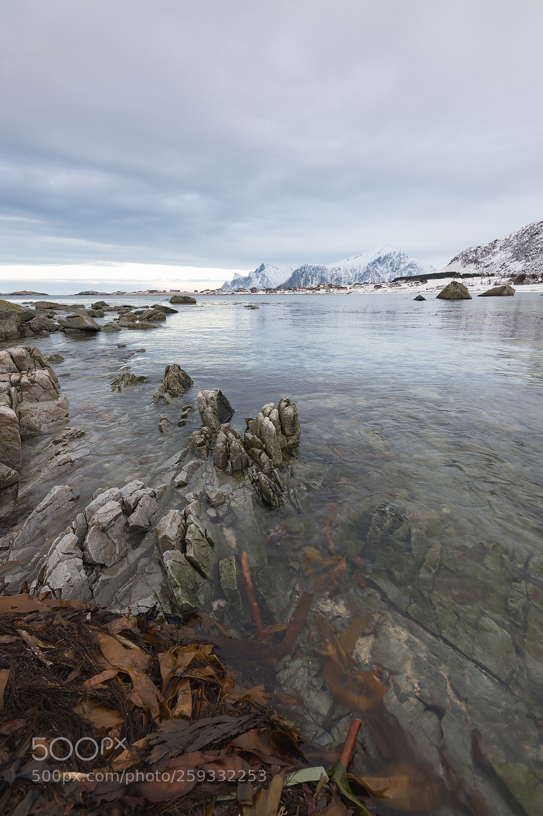 Nikon D850 sample photo. Seaweed, rock and mountains photography