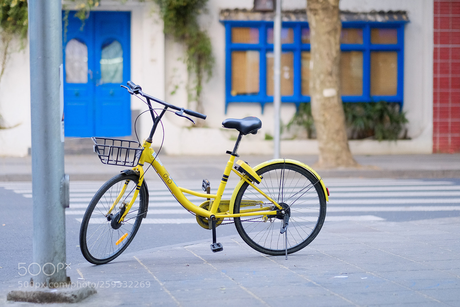 Fujifilm X-E3 sample photo. All the color you photography