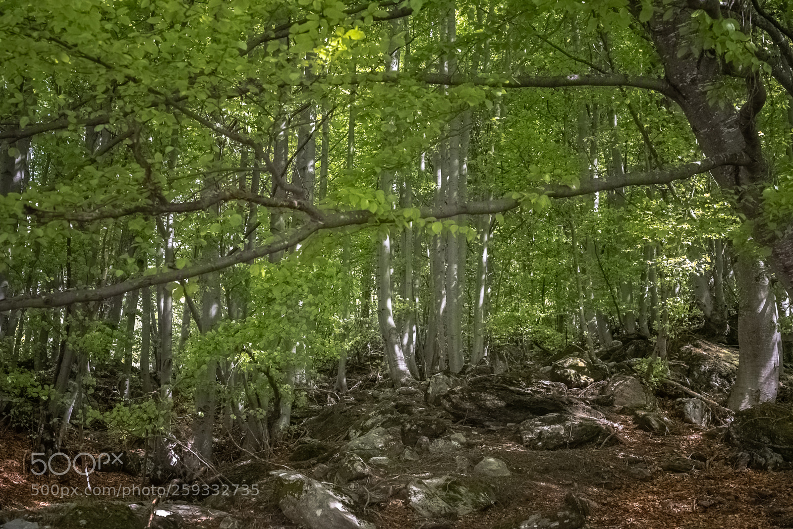 Nikon D750 sample photo. Pis waterfall - balziglia photography