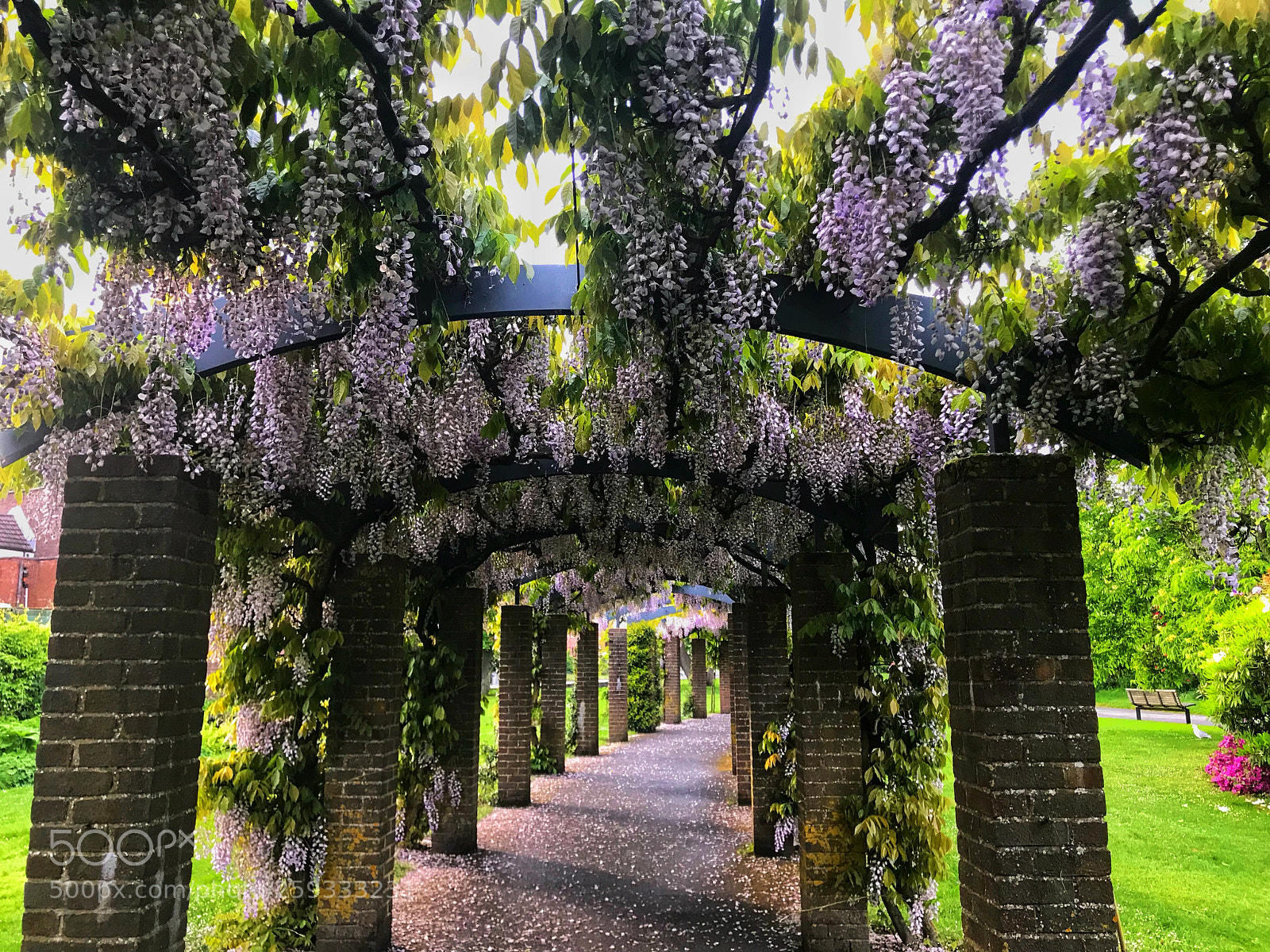 Apple iPhone 7 Plus sample photo. Southampton  photography