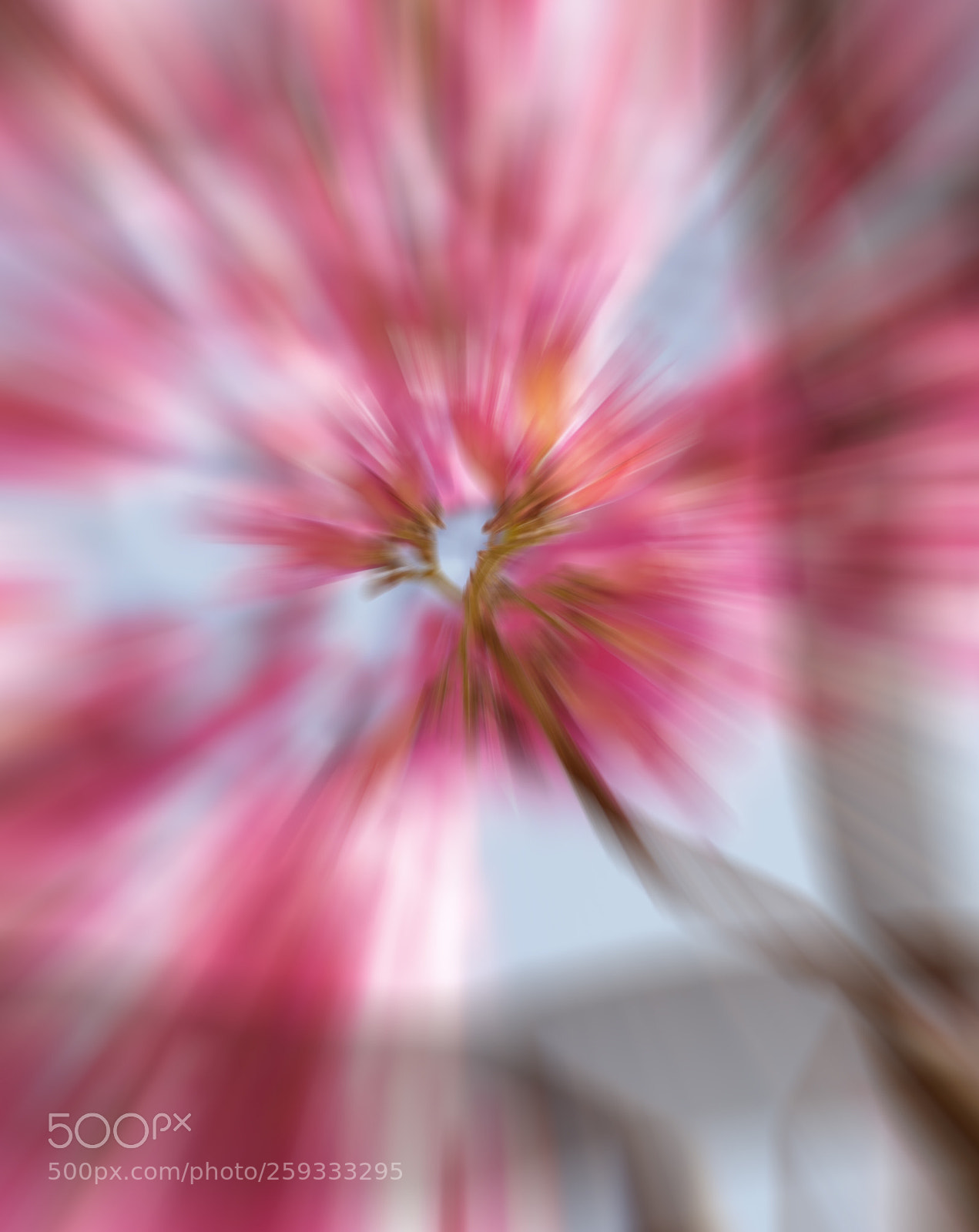 Canon EOS 70D sample photo. Abstract photography