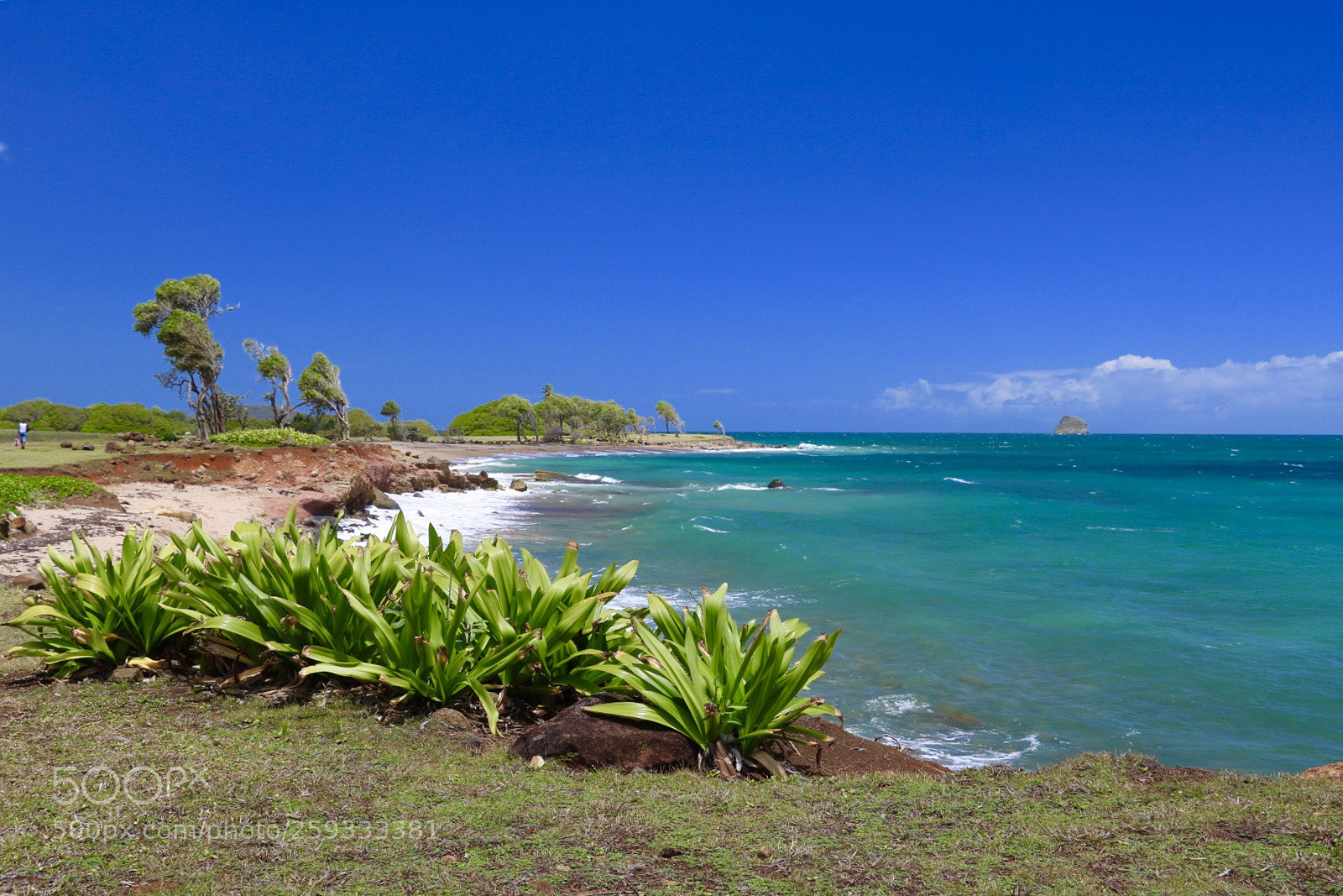 Canon EOS 750D (EOS Rebel T6i / EOS Kiss X8i) sample photo. Green and blue photography