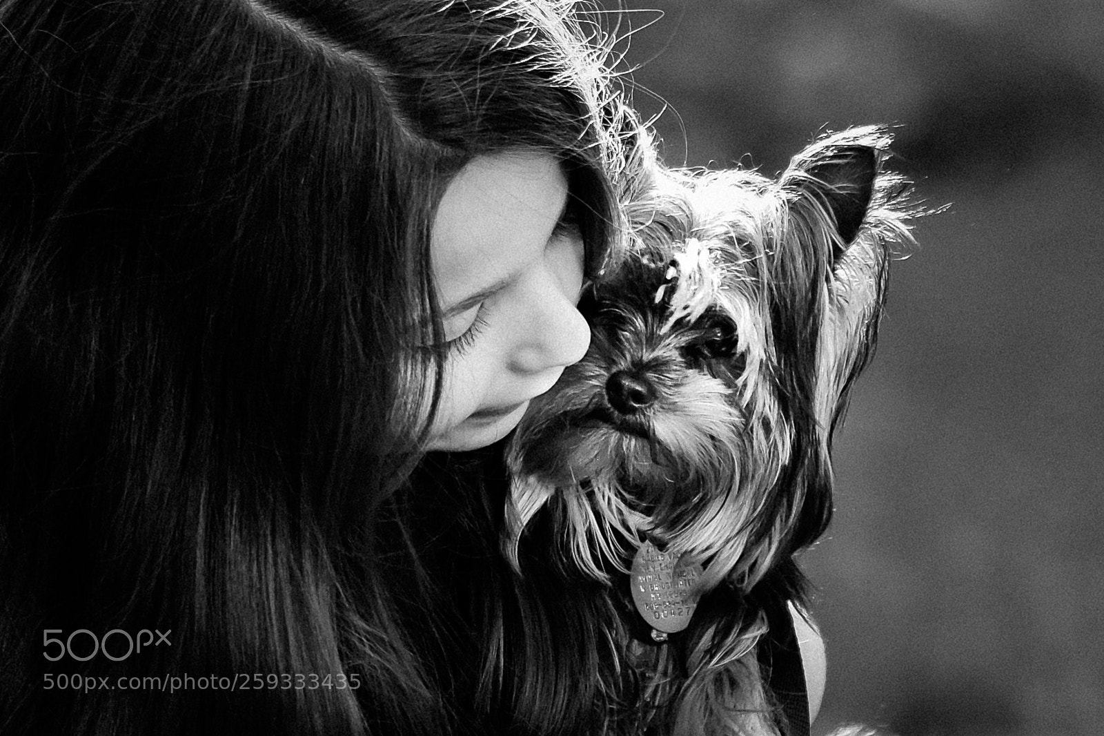 Fujifilm X-Pro2 sample photo. Puppy love photography