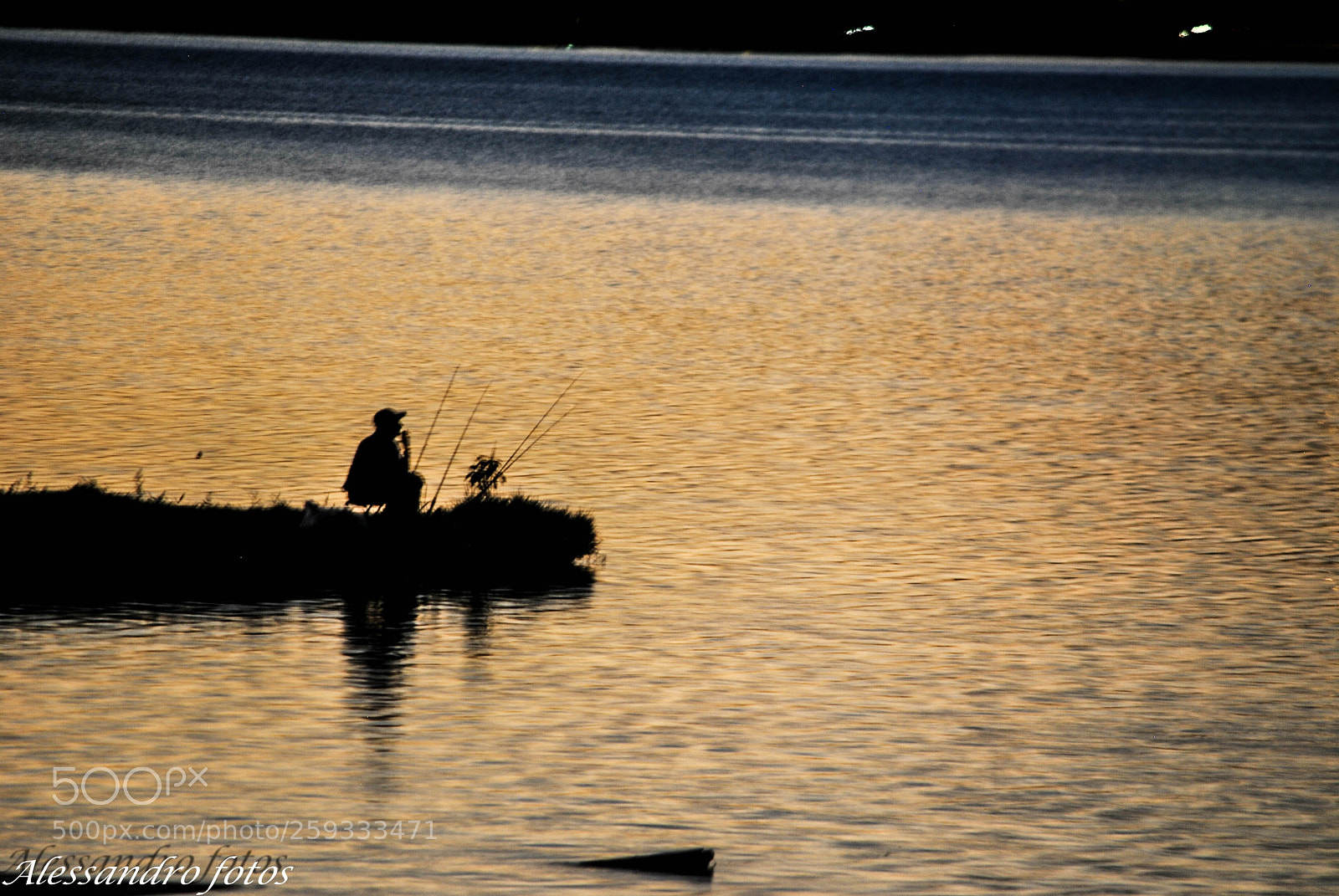 Nikon D3000 sample photo. Untitled photography