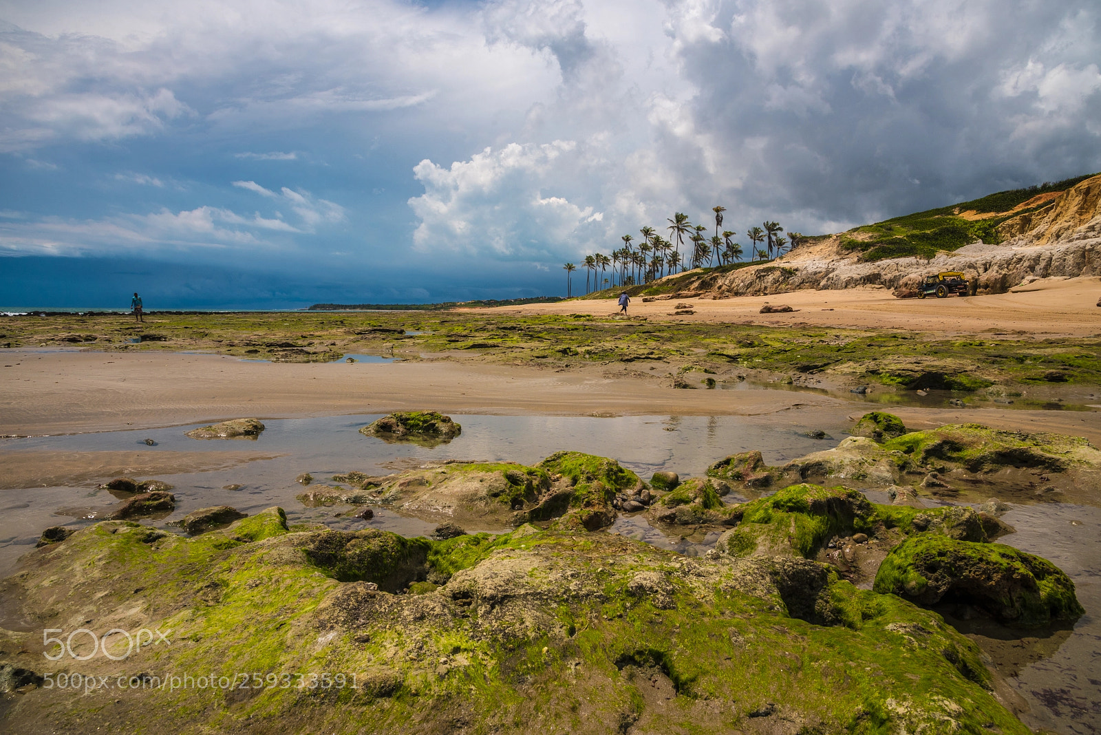 Nikon D750 sample photo. Cloudy day photography