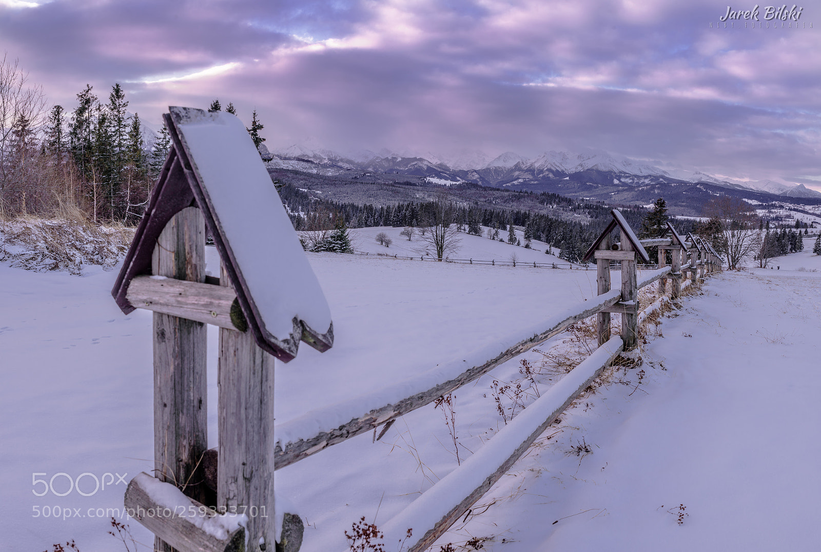 Nikon D750 sample photo. Fence photography