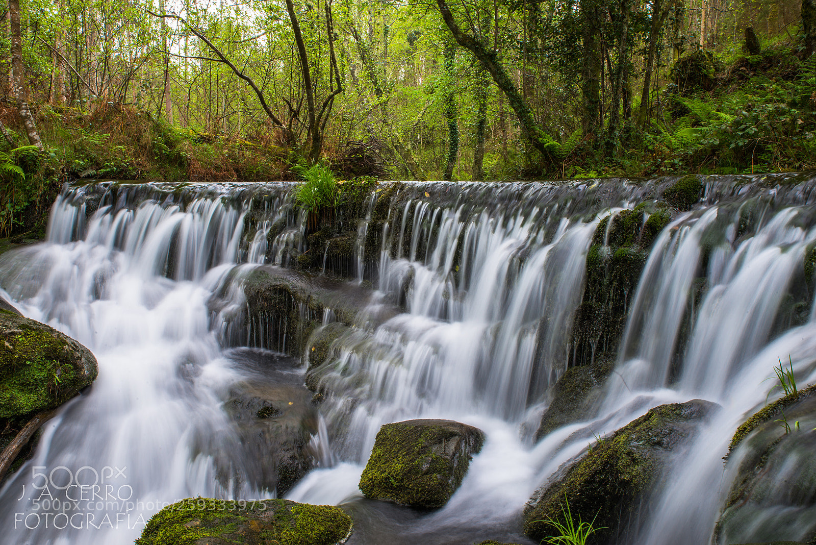 Nikon D610 sample photo. Pozo da ferida. viveiro.lugo.spain photography